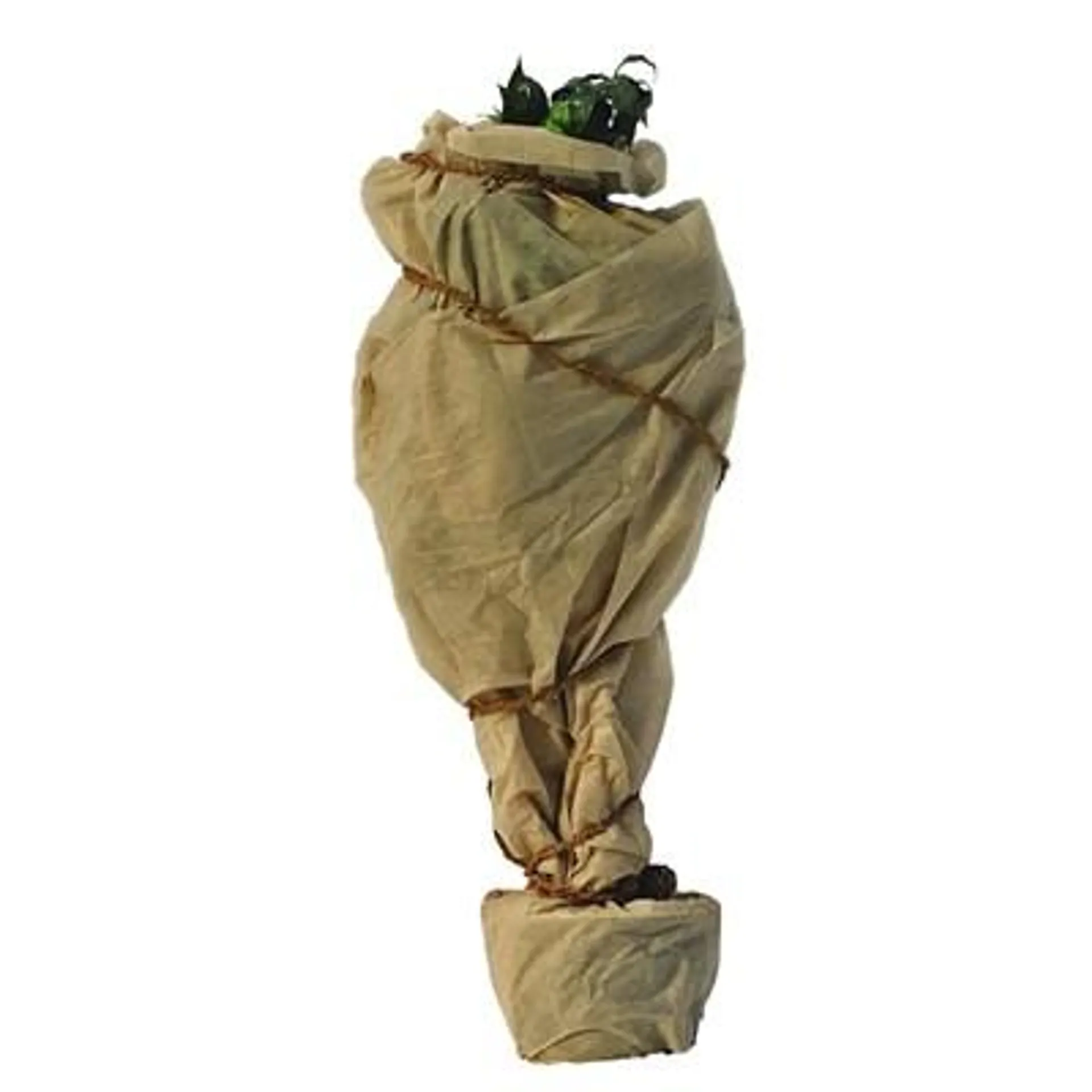 Wintervlies 1,5 × 5 m, beige