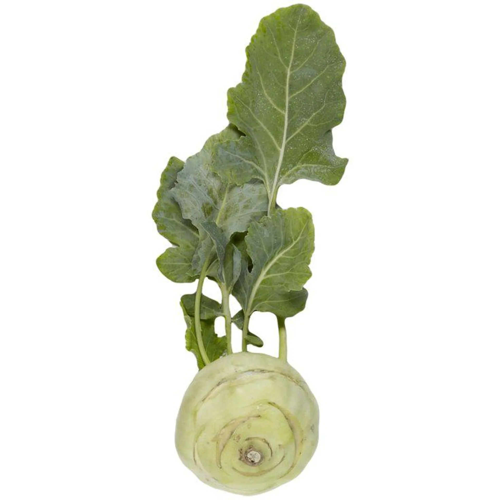 Naturaplan Demeter Bio Kohlraben