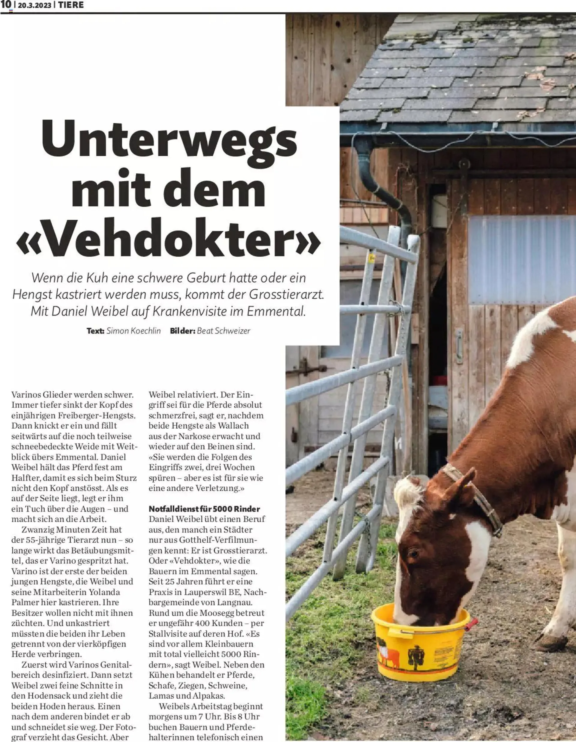 Migros - Magazin von 20. März bis 31. Dezember 2023 - Prospekt seite  10