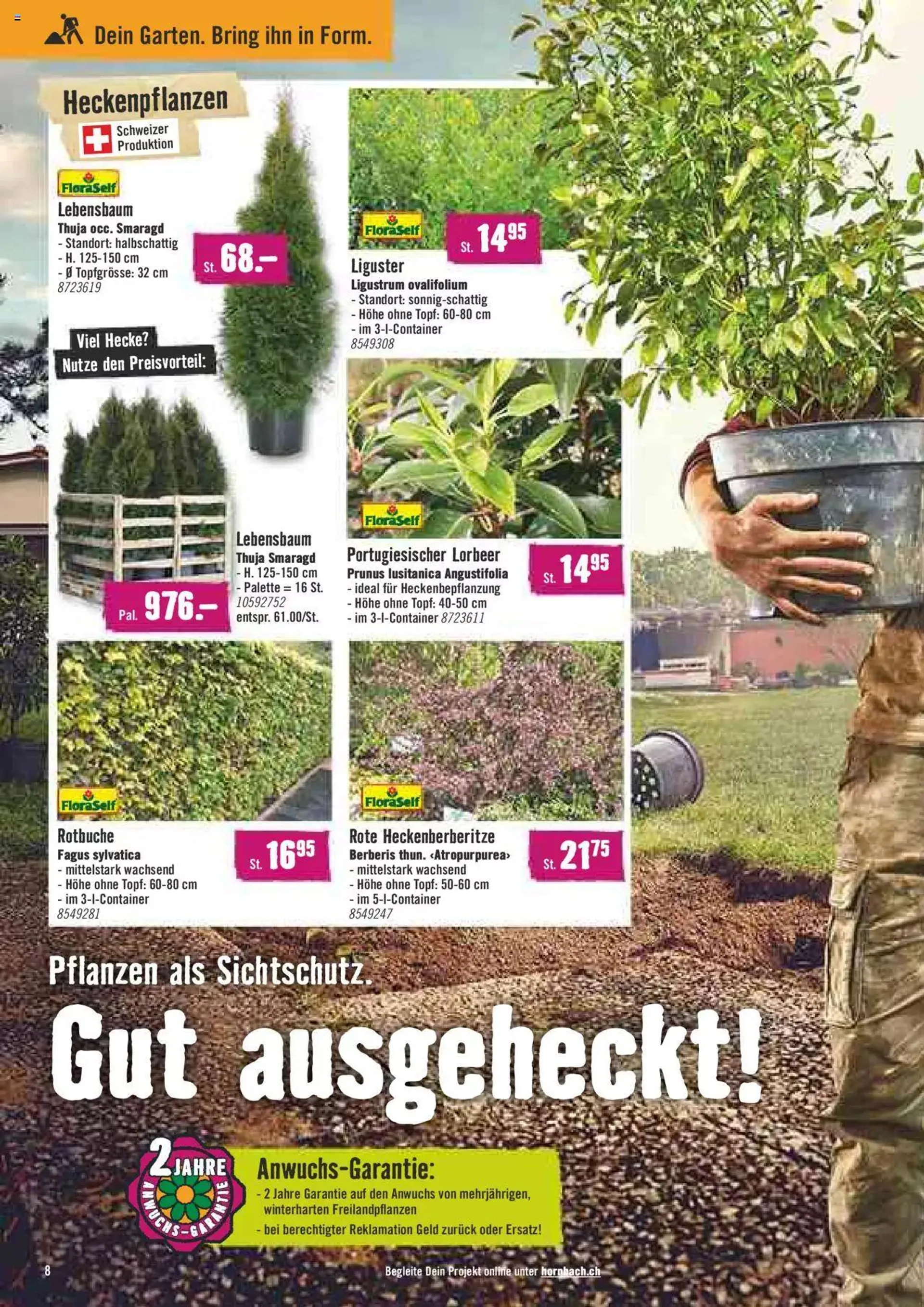 Hornbach Aktionen von 1. Mai bis 31. Dezember 2023 - Prospekt seite  8
