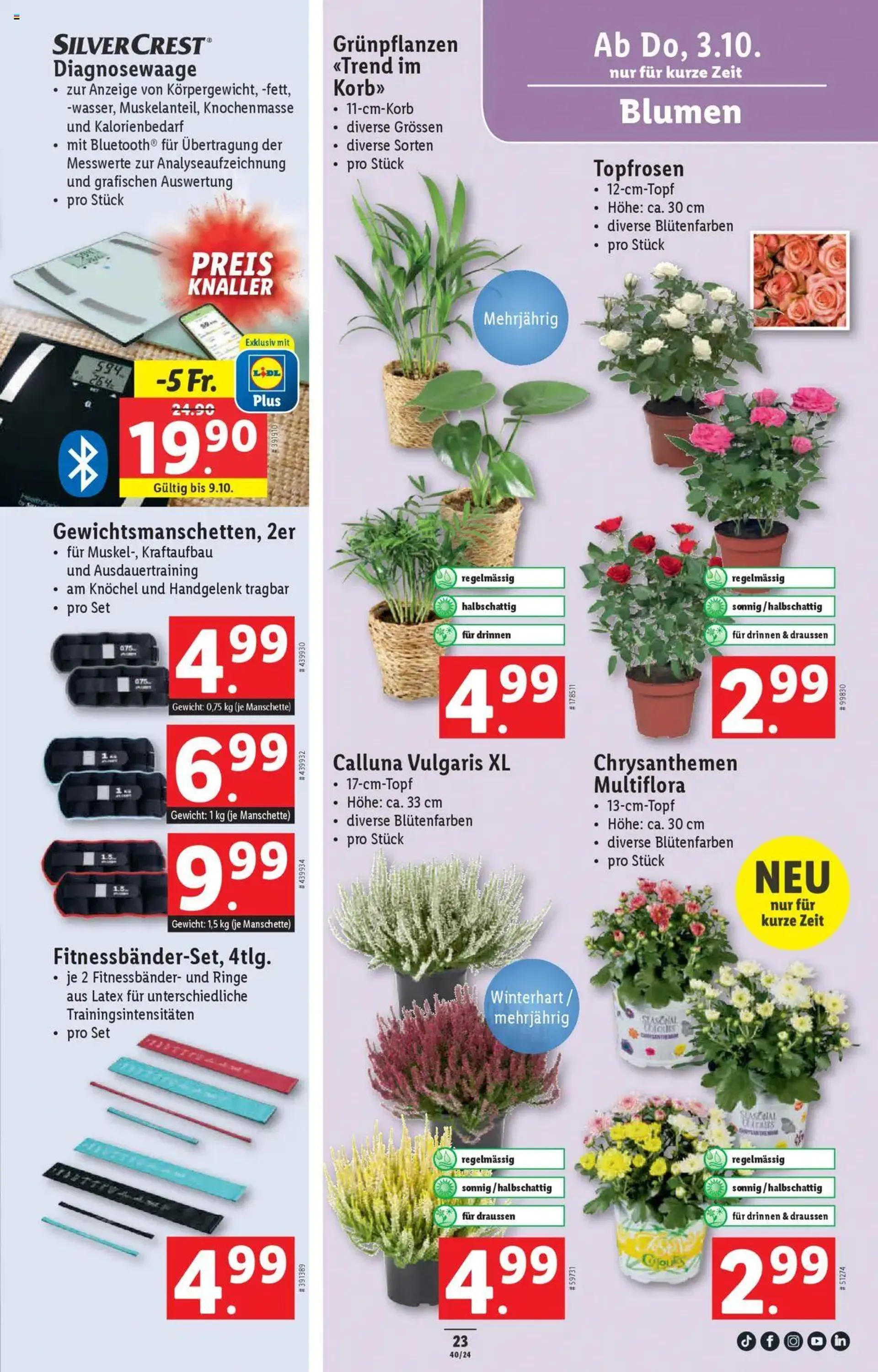 Lidl Aktionen von 3. Oktober bis 9. Oktober 2024 - Prospekt seite  27