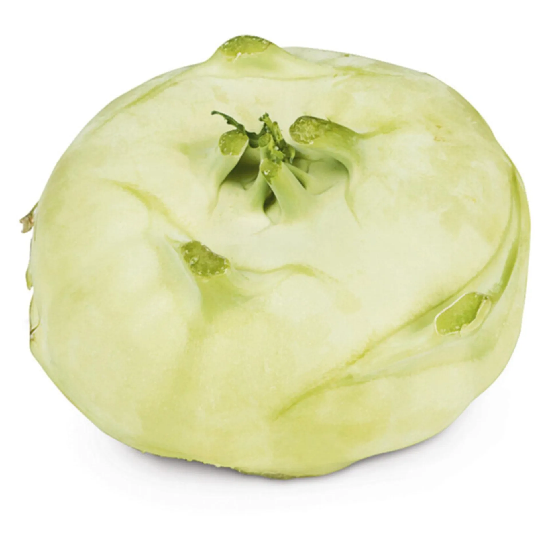 Naturaplan Demeter Bio Kohlraben 1 Stück