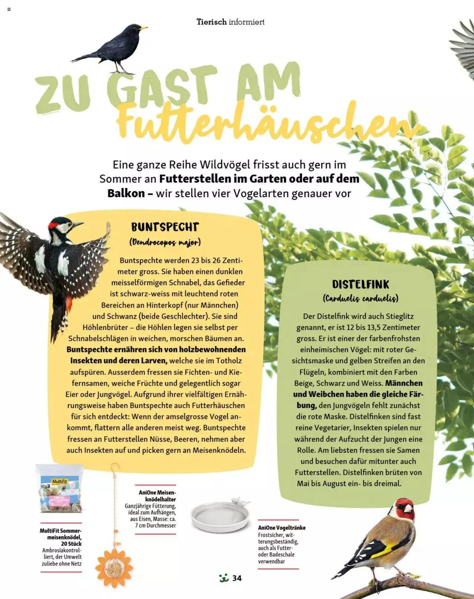 Fressnapf Magazin - 33