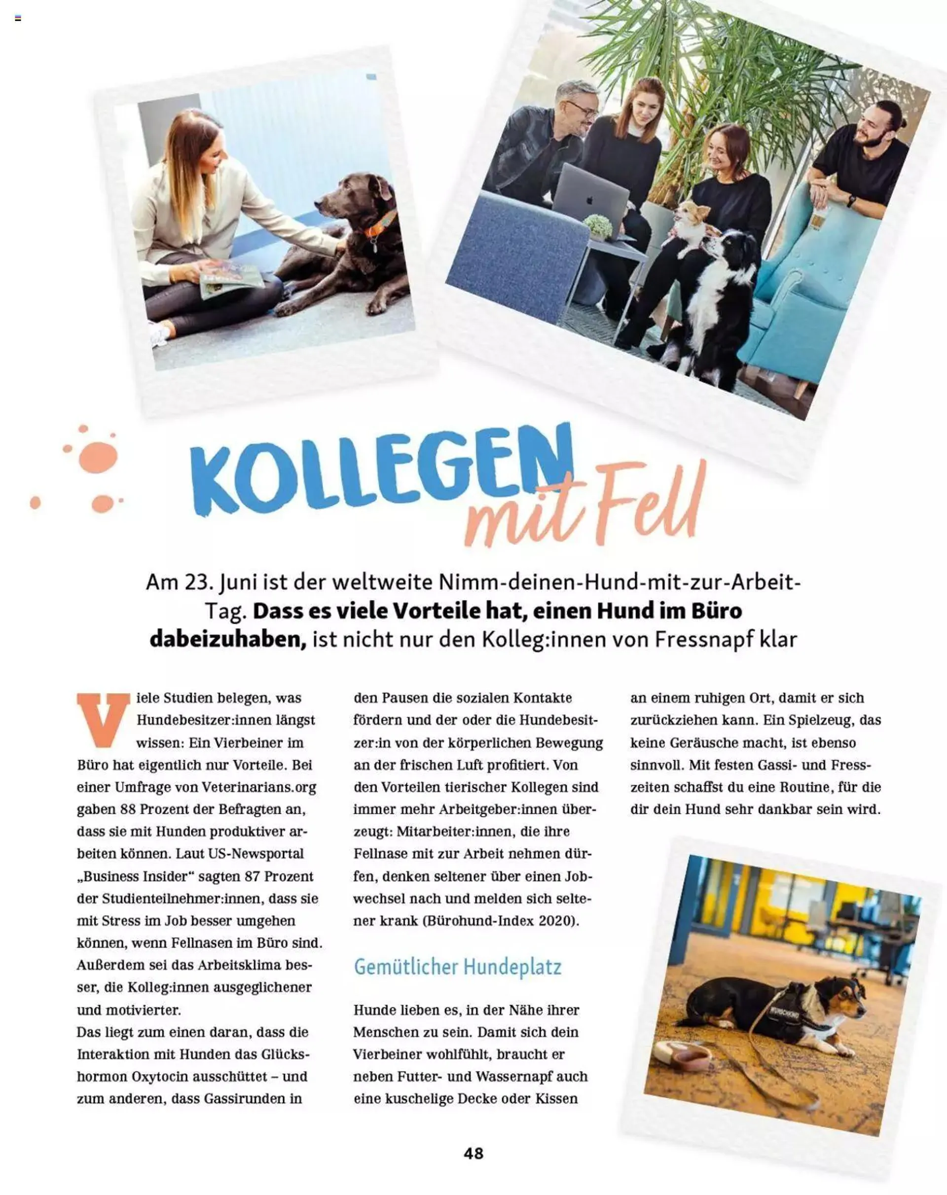 Fressnapf Magazin von 1. Mai bis 31. Dezember 2023 - Prospekt seite  48