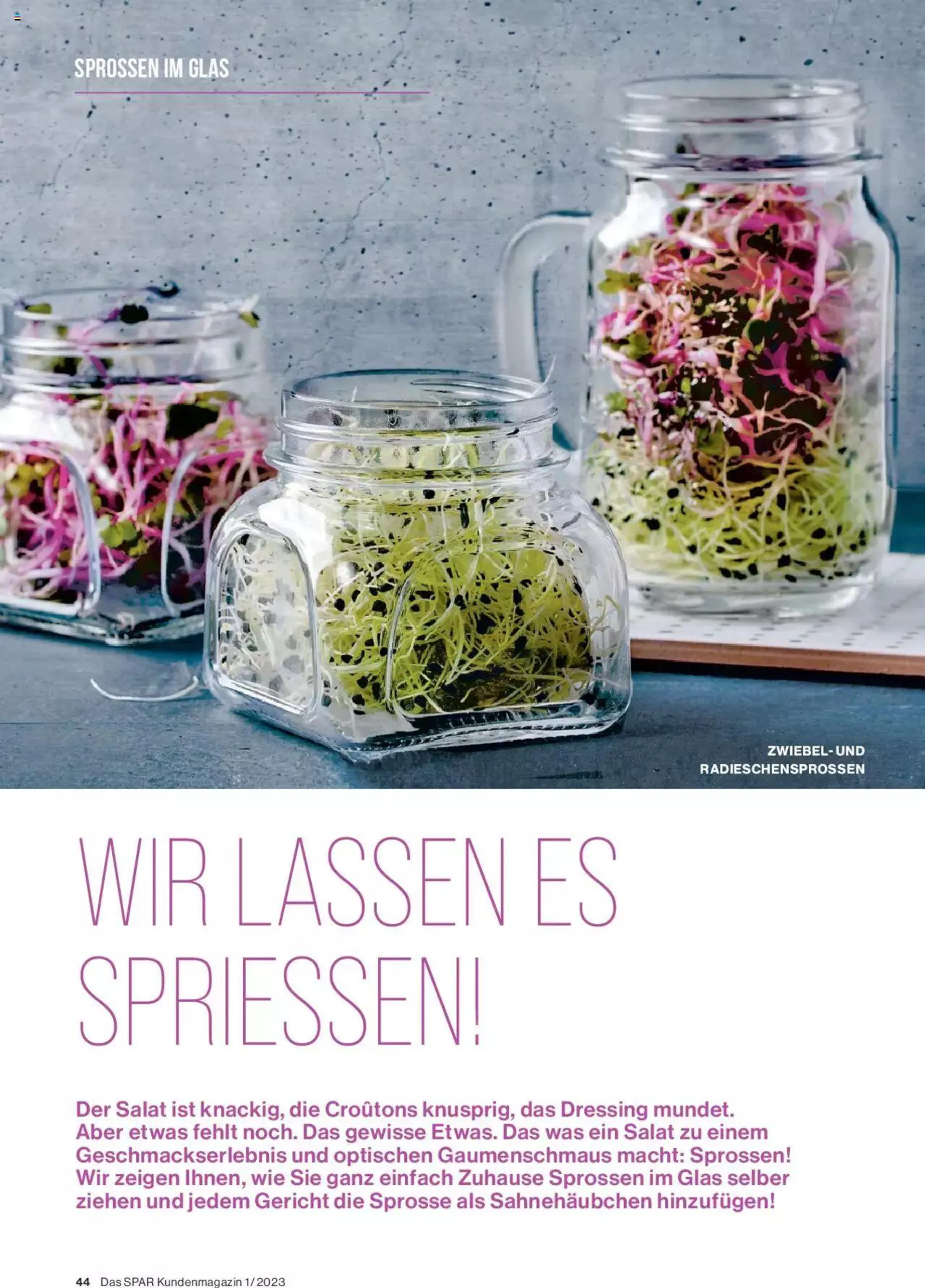 SPAR Kundenmagazin von 2. März bis 31. Dezember 2023 - Prospekt seite  44