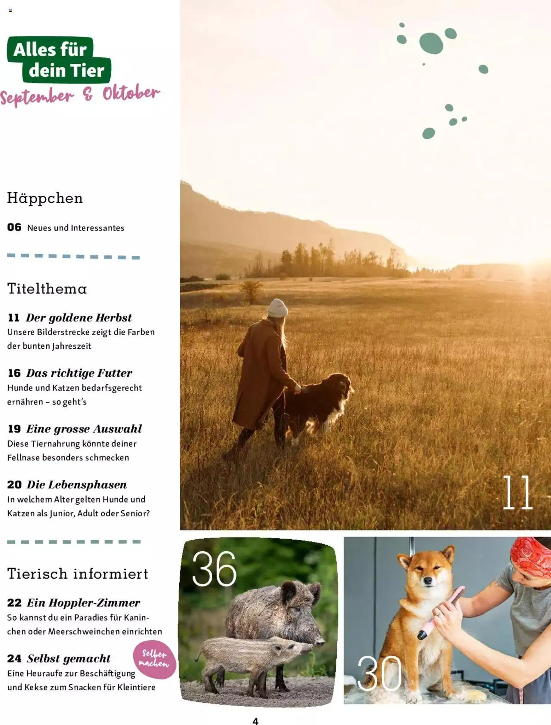 Fressnapf Magazin von 1. September bis 31. Oktober 2023 - Prospekt seite  4