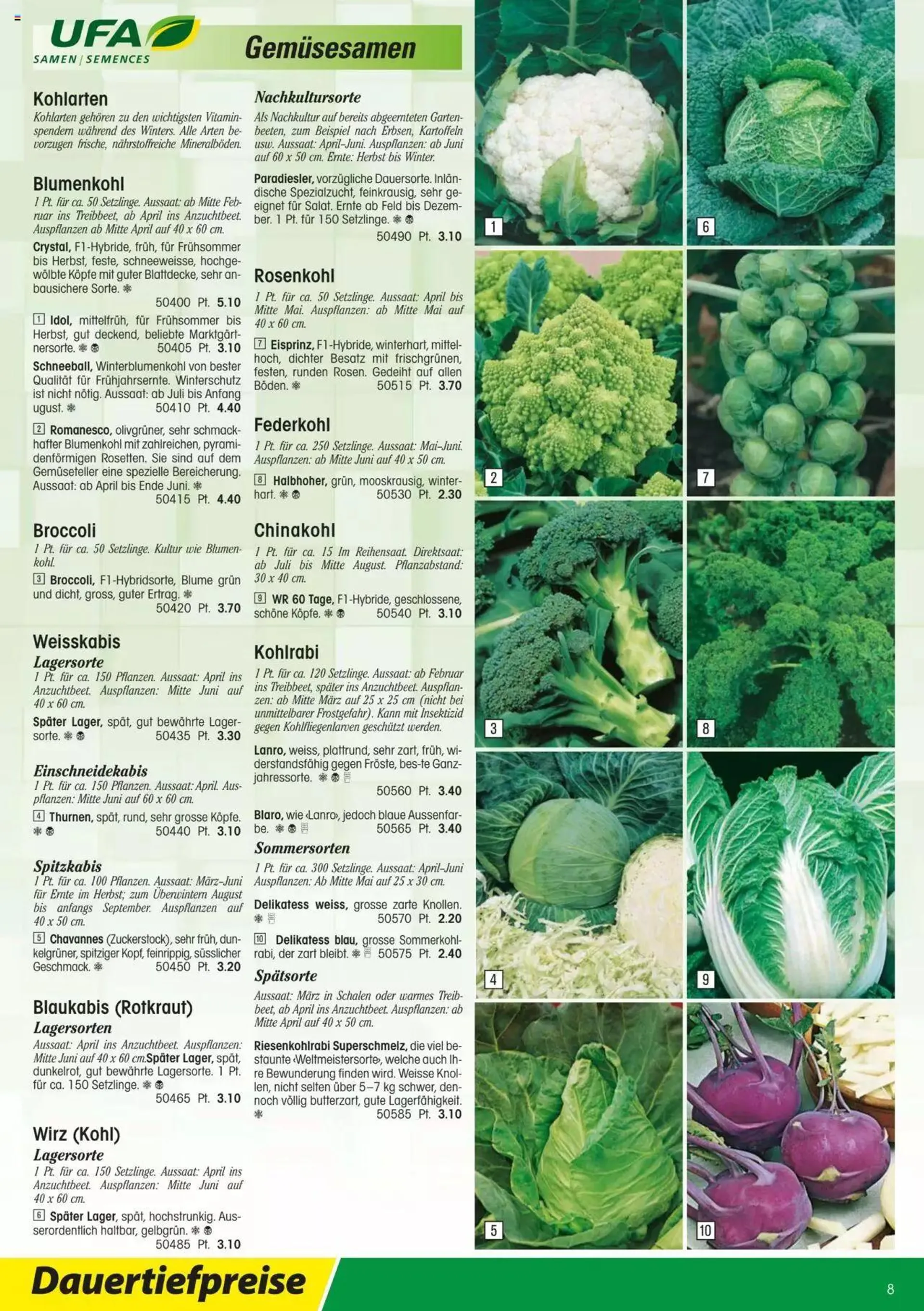 Landi - Gartensamenkatalog 2023 von 10. Januar bis 31. Dezember 2023 - Prospekt seite  8