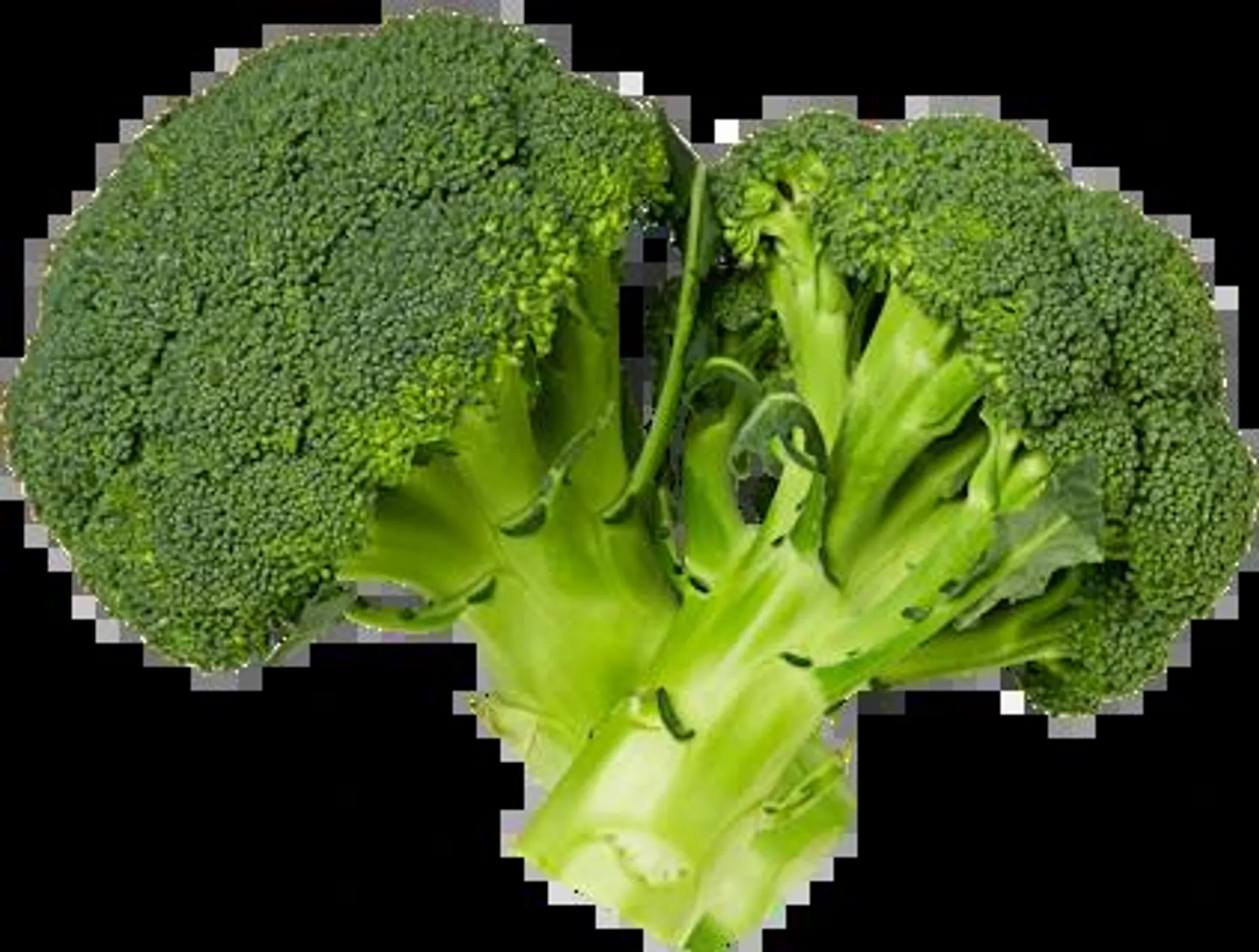 Bio Broccoli