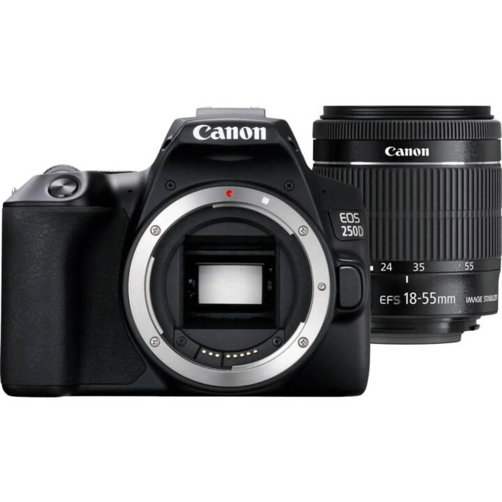 CANON EOS 250D + EF-S 18-55 mm IS STM Kit (24.1 MP)