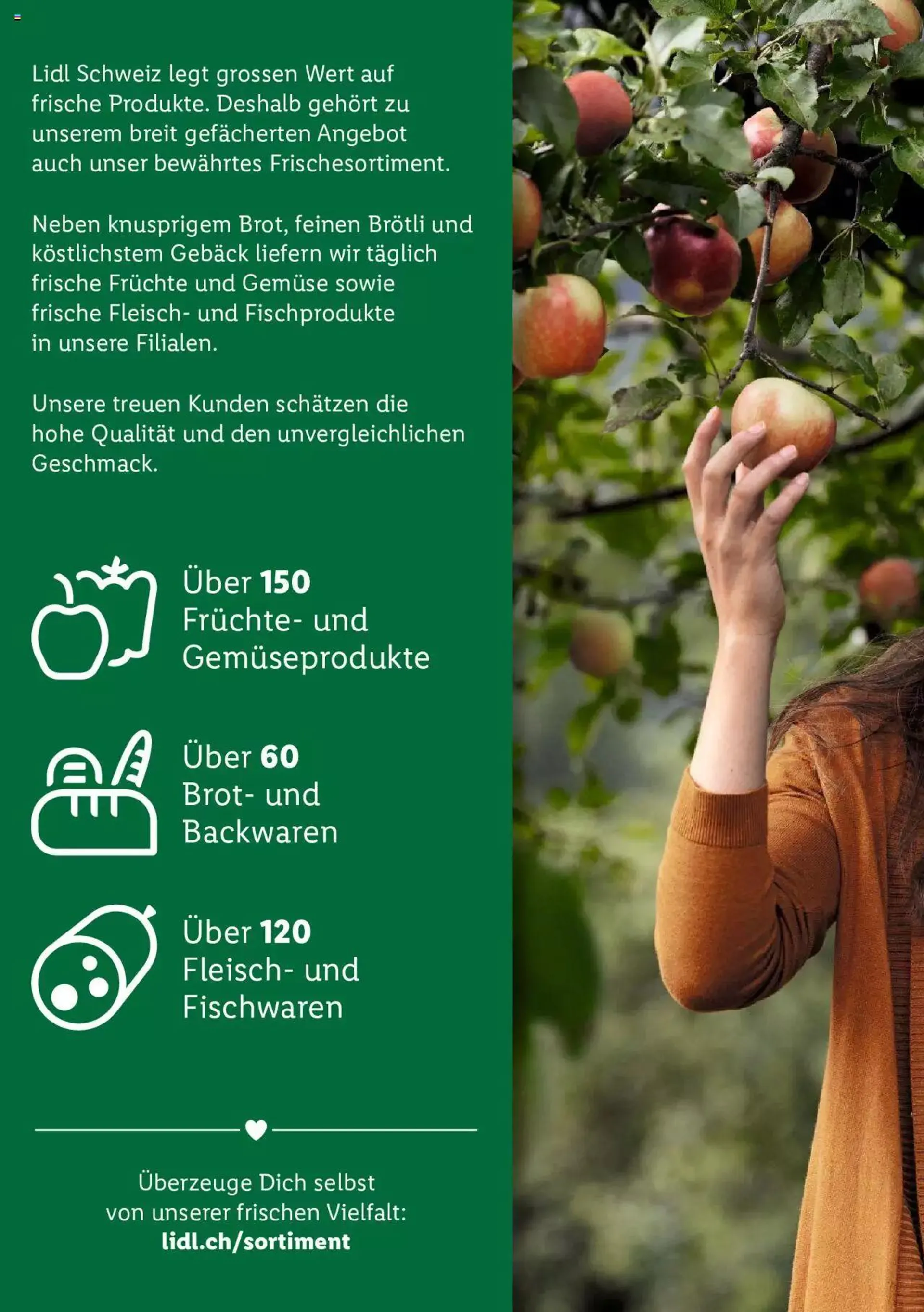 Lidl - Wir lieben die Schweiz von 5. Dezember bis 31. Dezember 2023 - Prospekt seite  4