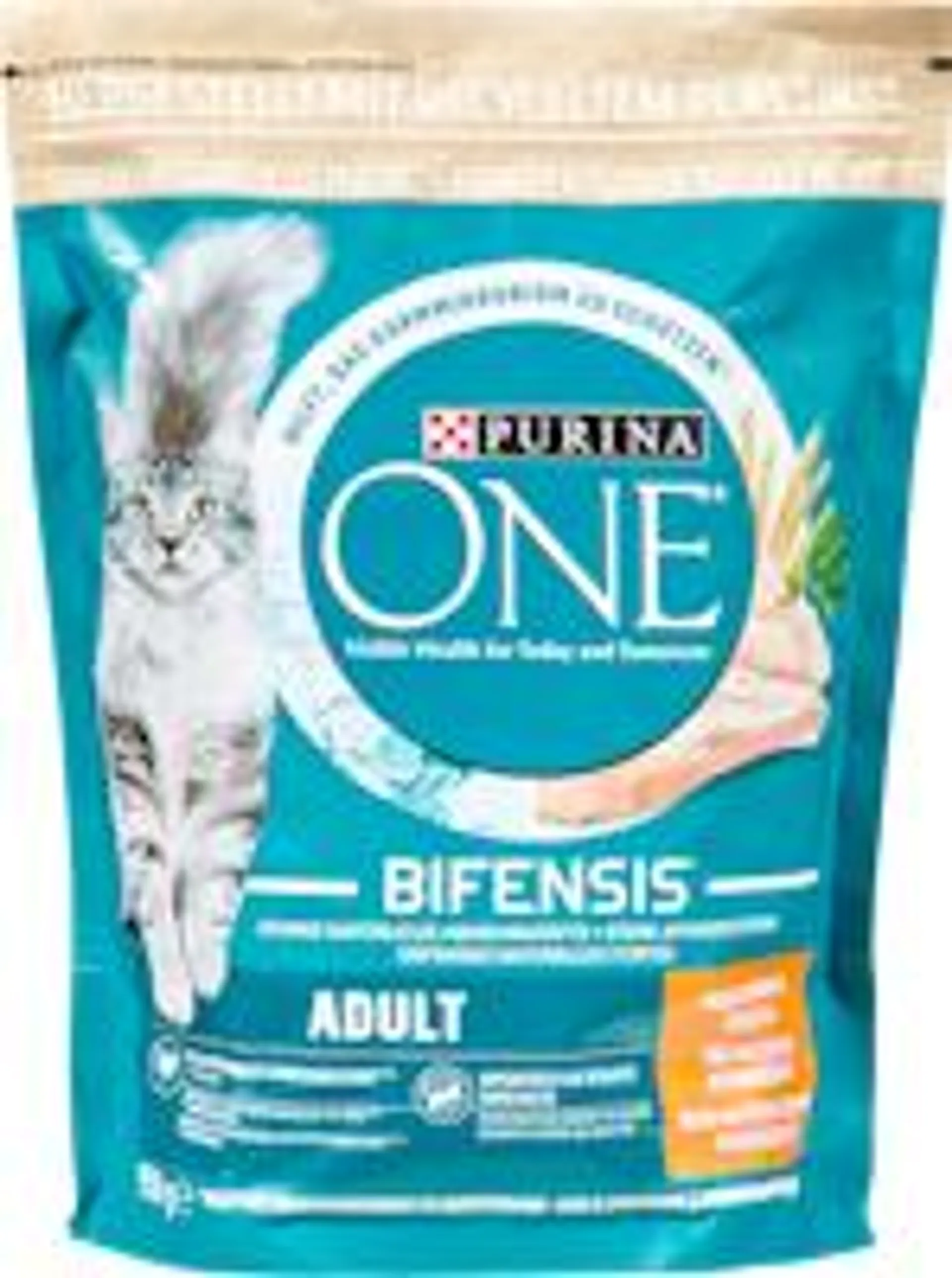 Purina ONE Adult Katzentrockenfutter Huhn und Vollkorn