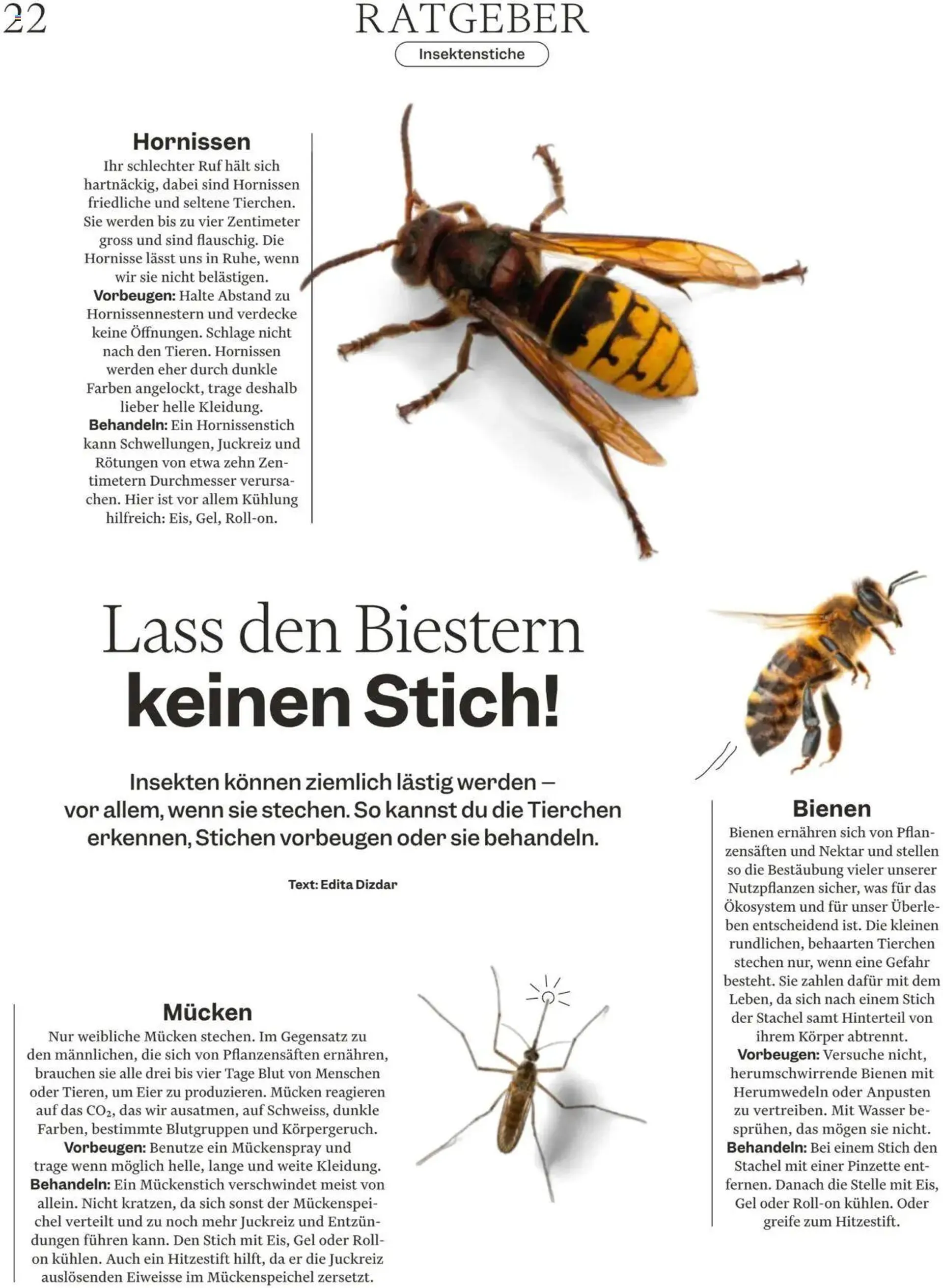 Migros - Magazin - 21