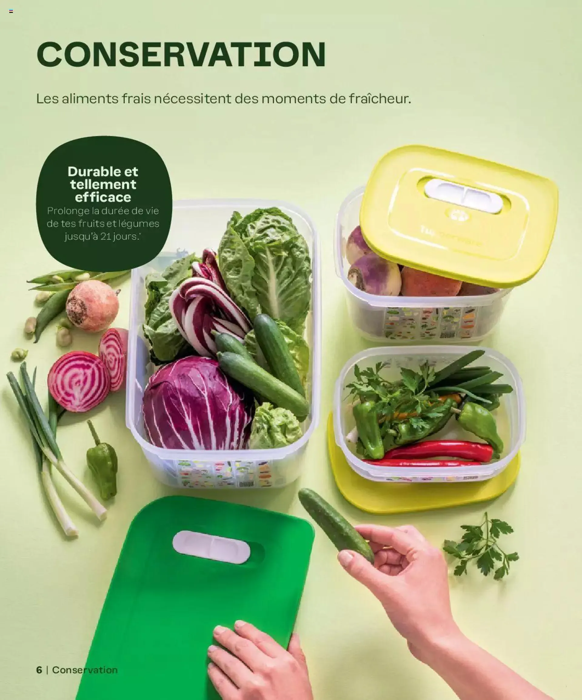 Tupperware Aktionen Frühling / Sommer 2024 von 5. März bis 31. Dezember 2024 - Prospekt seite  6