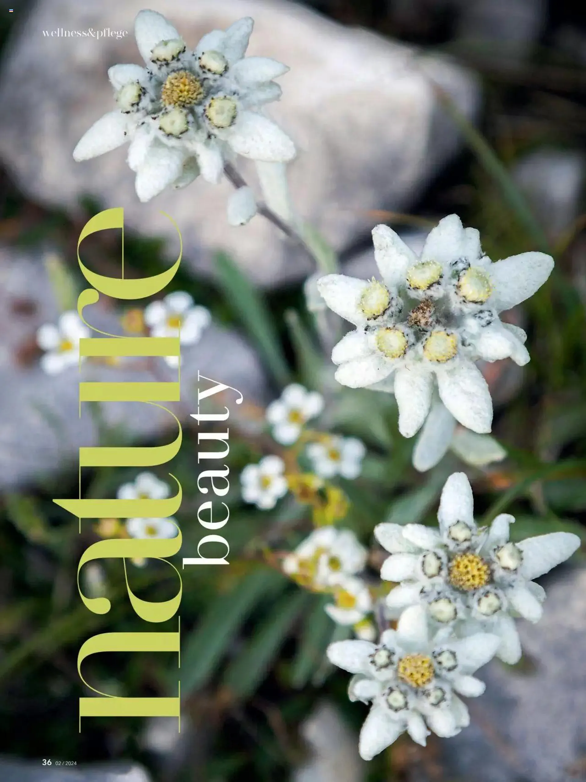 Coop Aktionen Beauty & Life von 29. April bis 31. Dezember 2024 - Prospekt seite  36