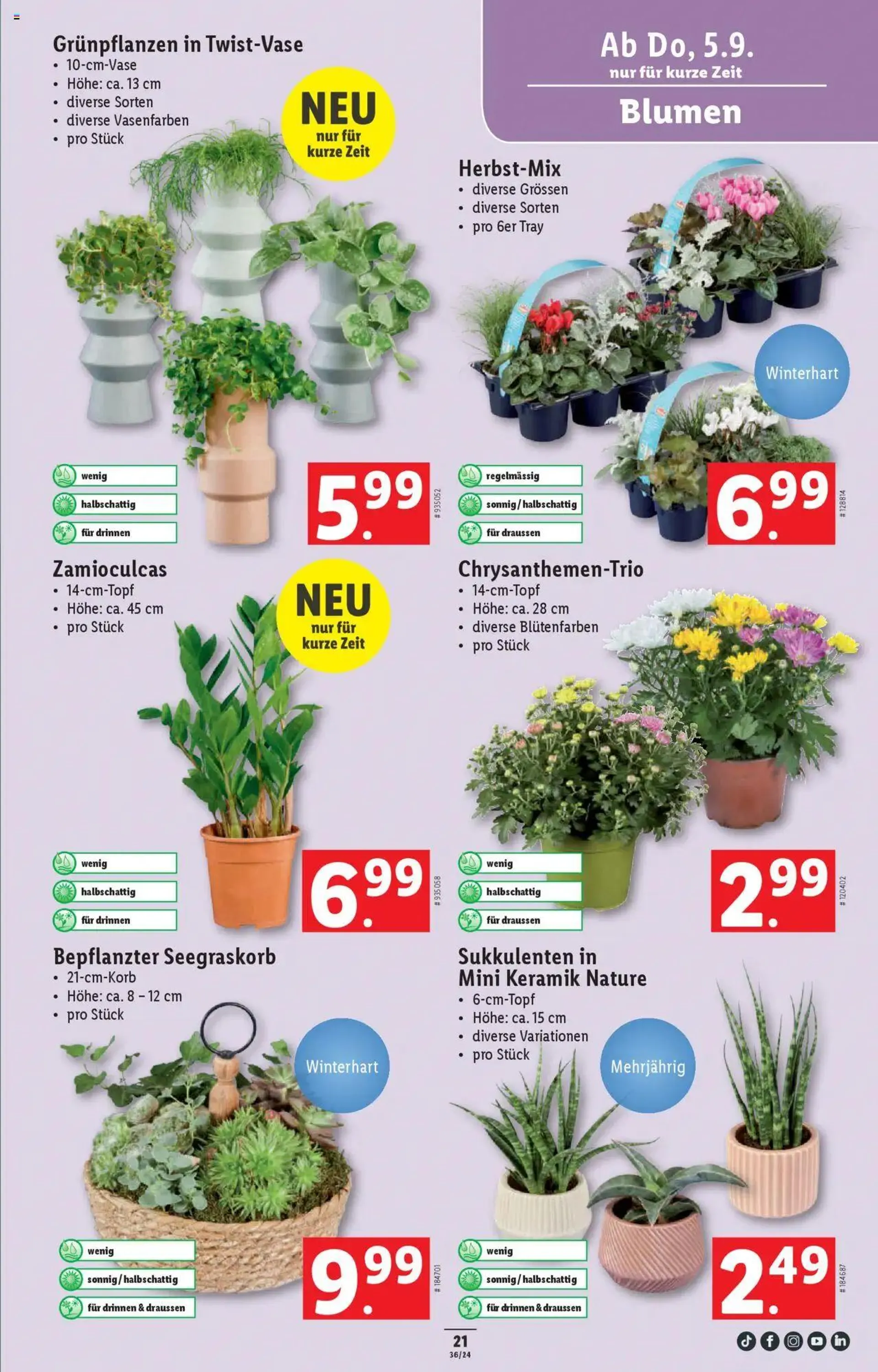 Lidl Aktionen von 5. September bis 11. September 2024 - Prospekt seite  23