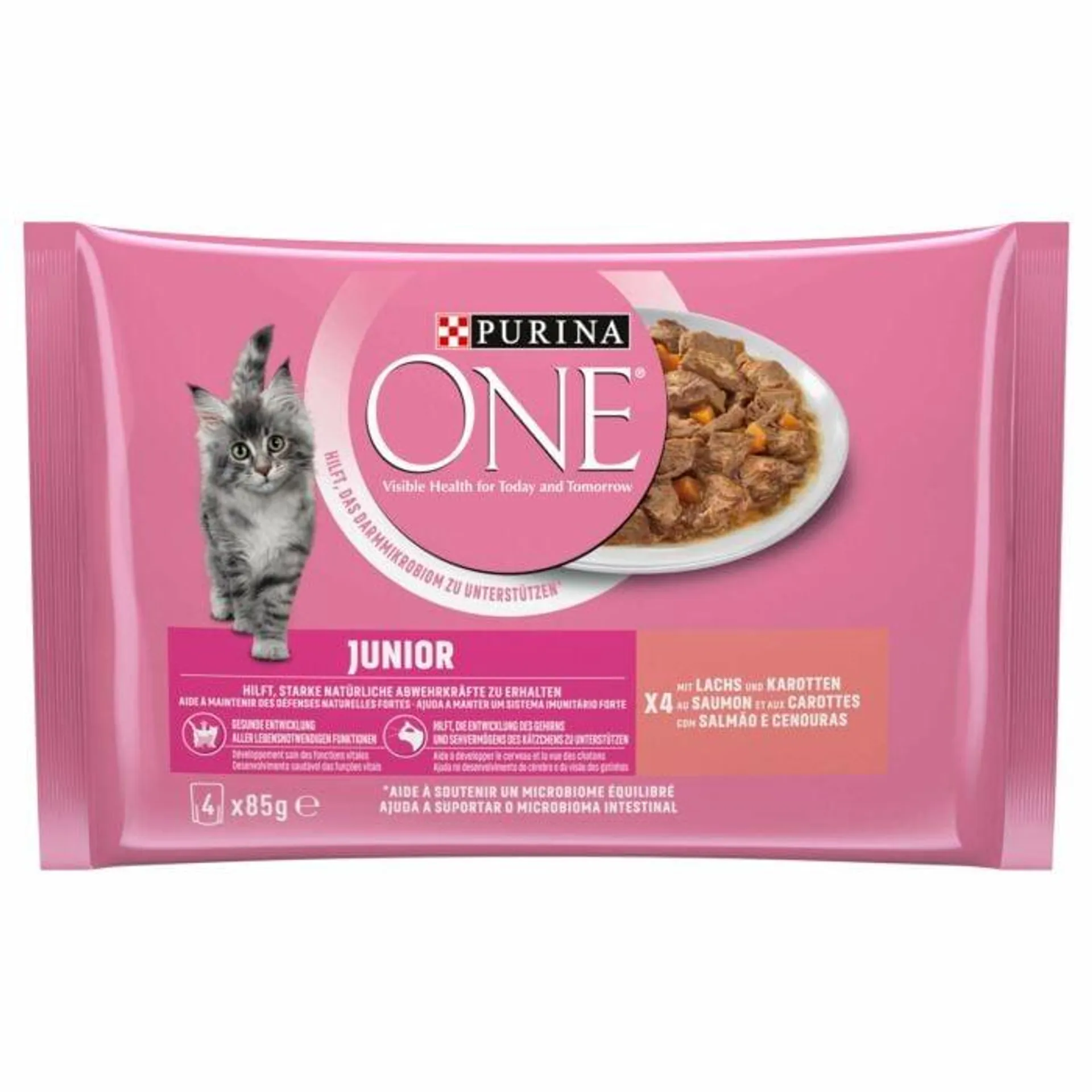 Purina ONE Junior Lachs Katzennassfutter