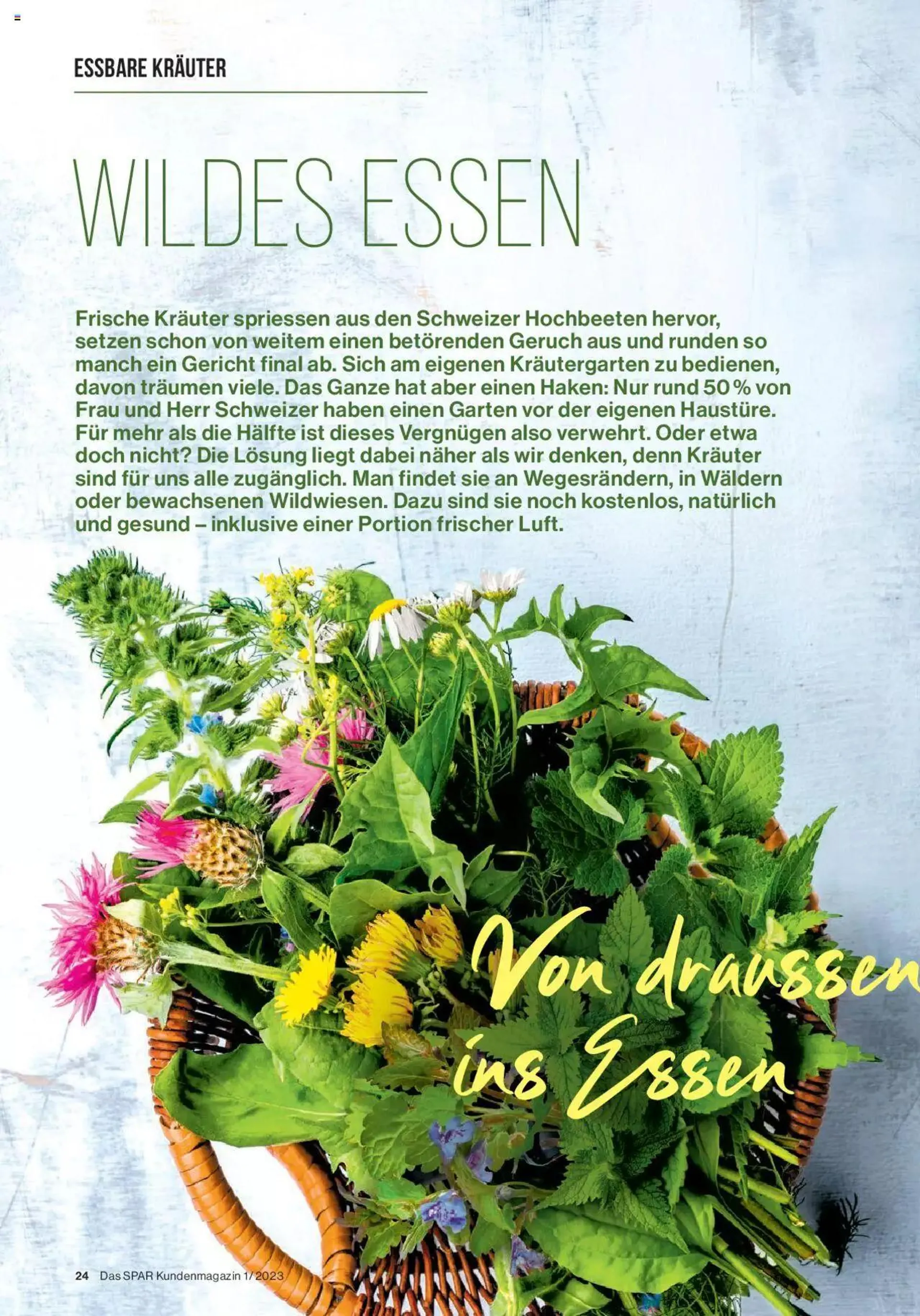 SPAR Kundenmagazin von 2. März bis 31. Dezember 2023 - Prospekt seite  24