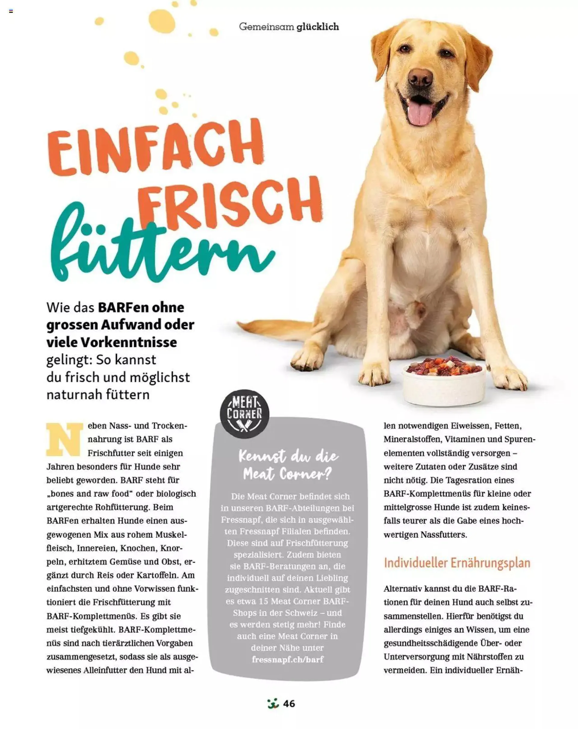 Fressnapf Magazin - 45