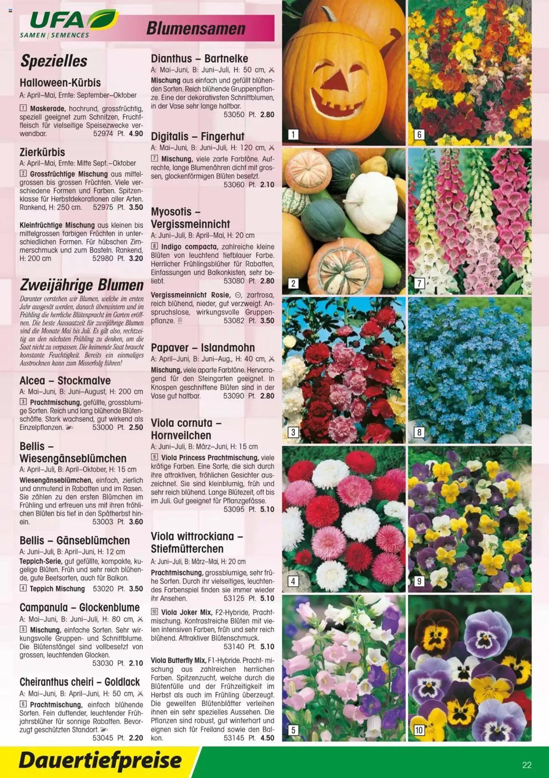 Landi - Gartensamenkatalog 2023 von 10. Januar bis 31. Dezember 2023 - Prospekt seite  22