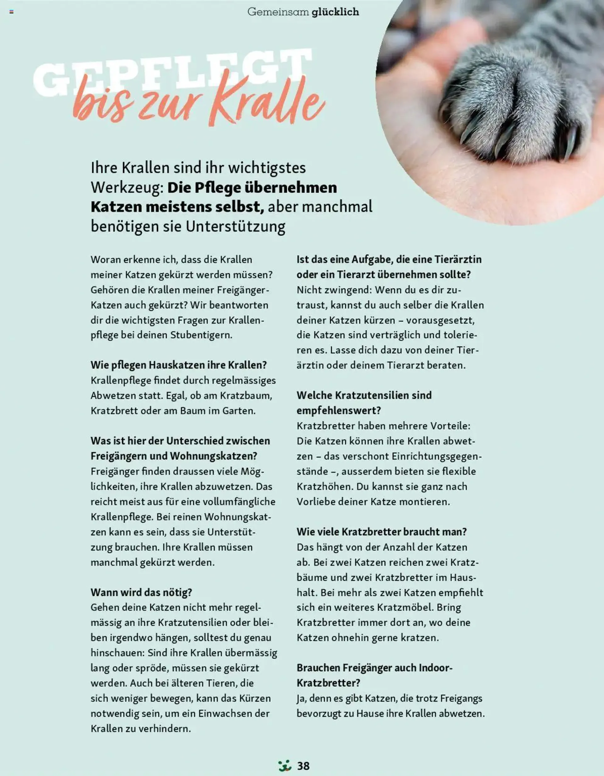 Fressnapf Magazin von 1. September bis 31. Oktober 2024 - Prospekt seite  38