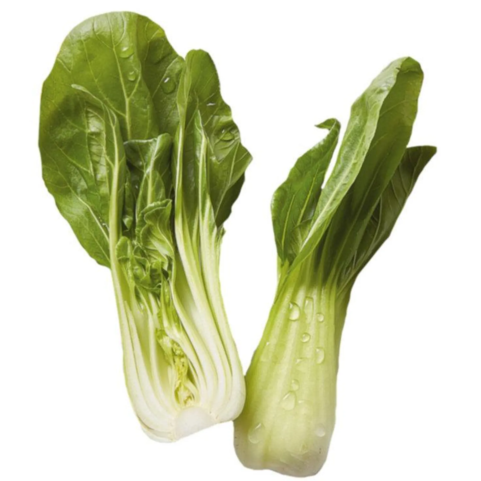 Pak-Choi