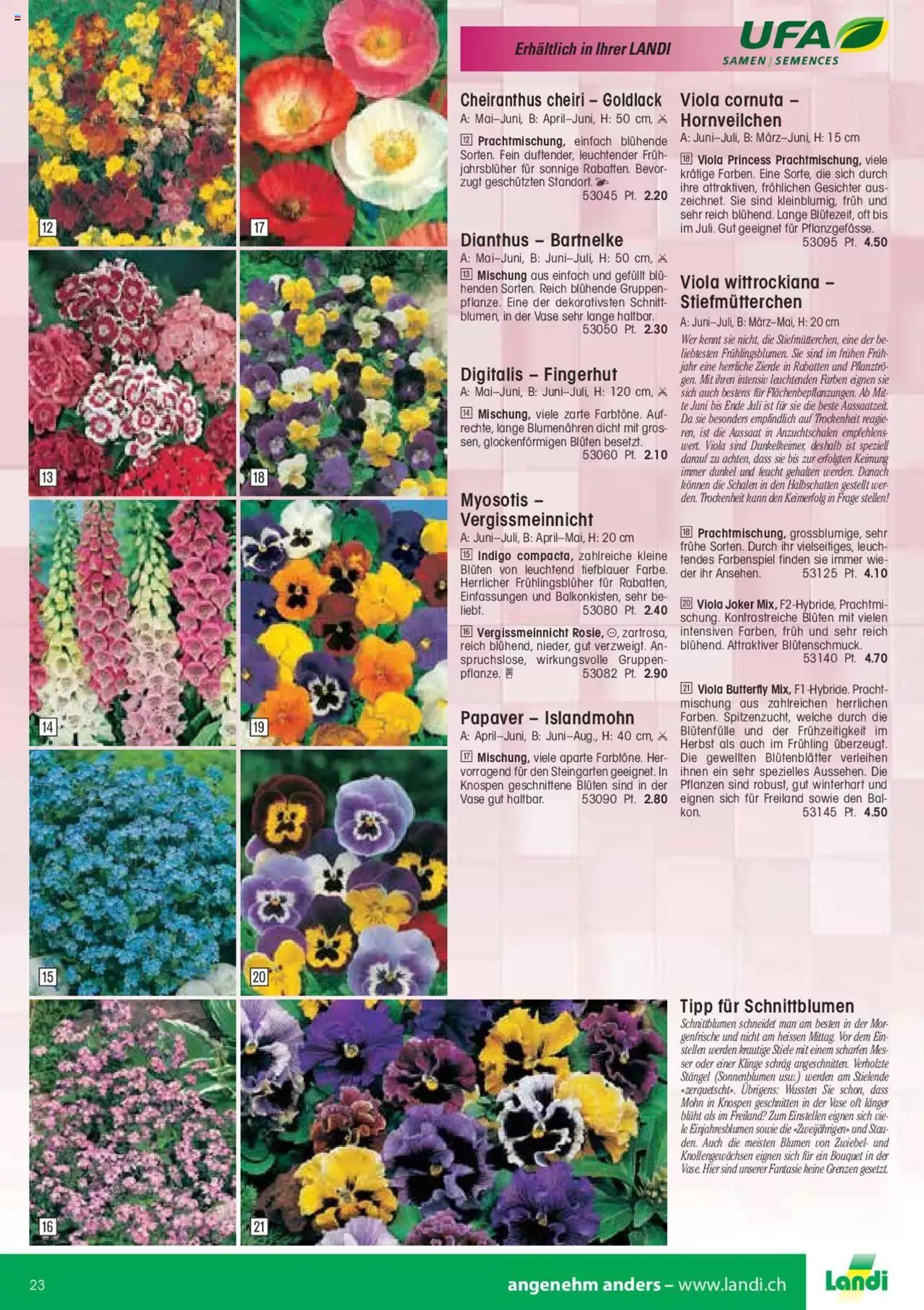 Landi - Gartensamen 2022 von 12. Januar bis 31. Dezember 2023 - Prospekt seite  23