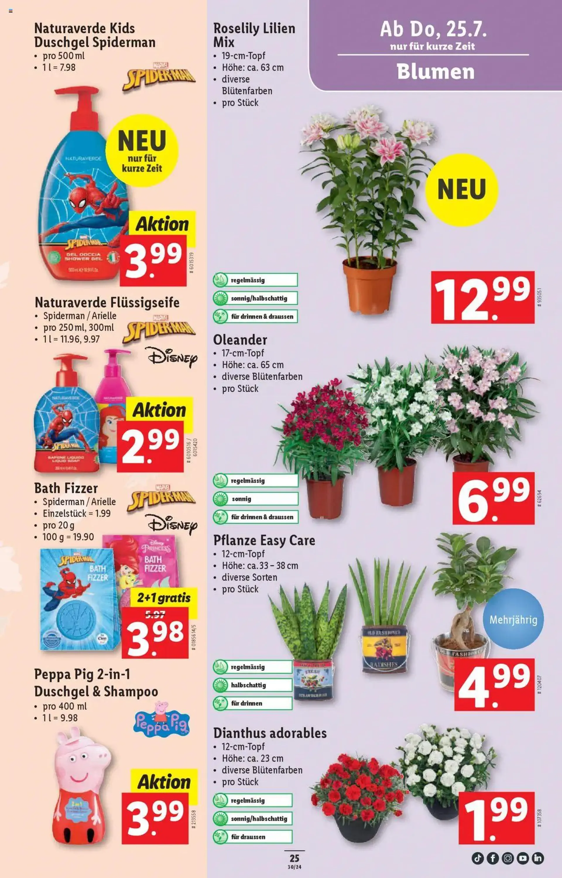 Lidl Aktionen - 24