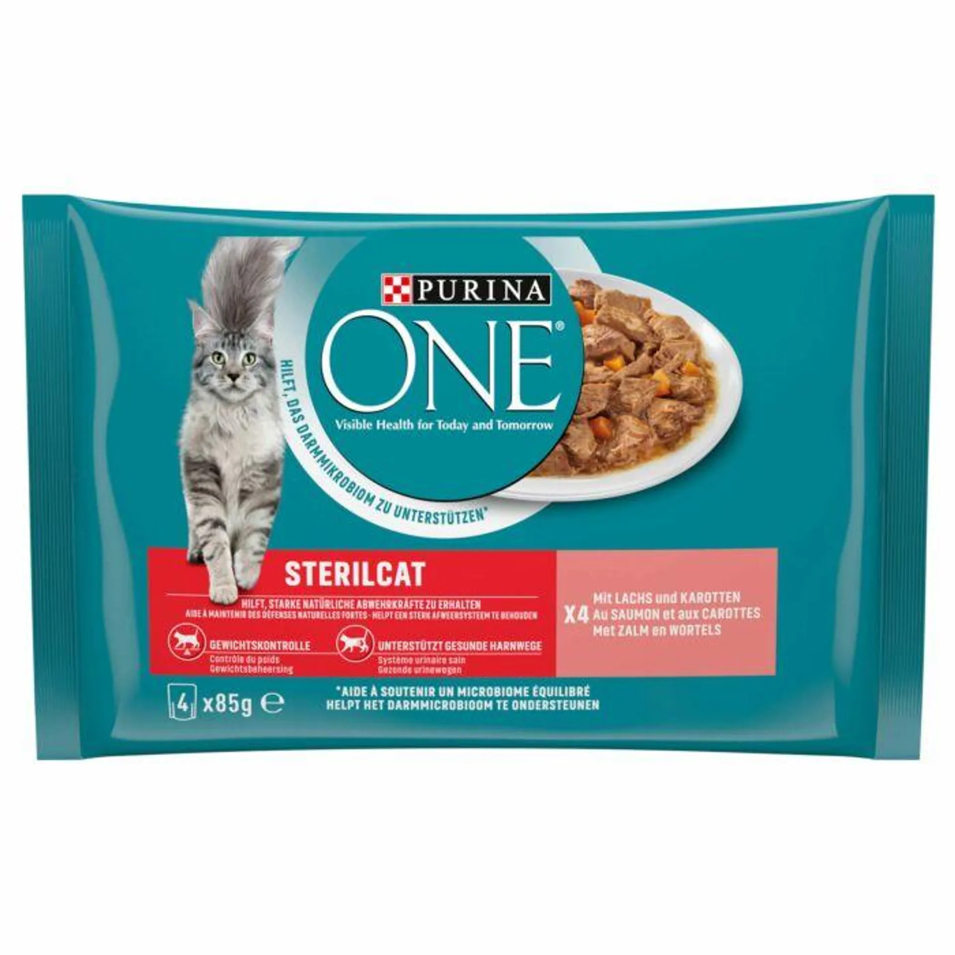 Purina ONE Zarte Stückchen in Sauce mit Lachs & Karotten