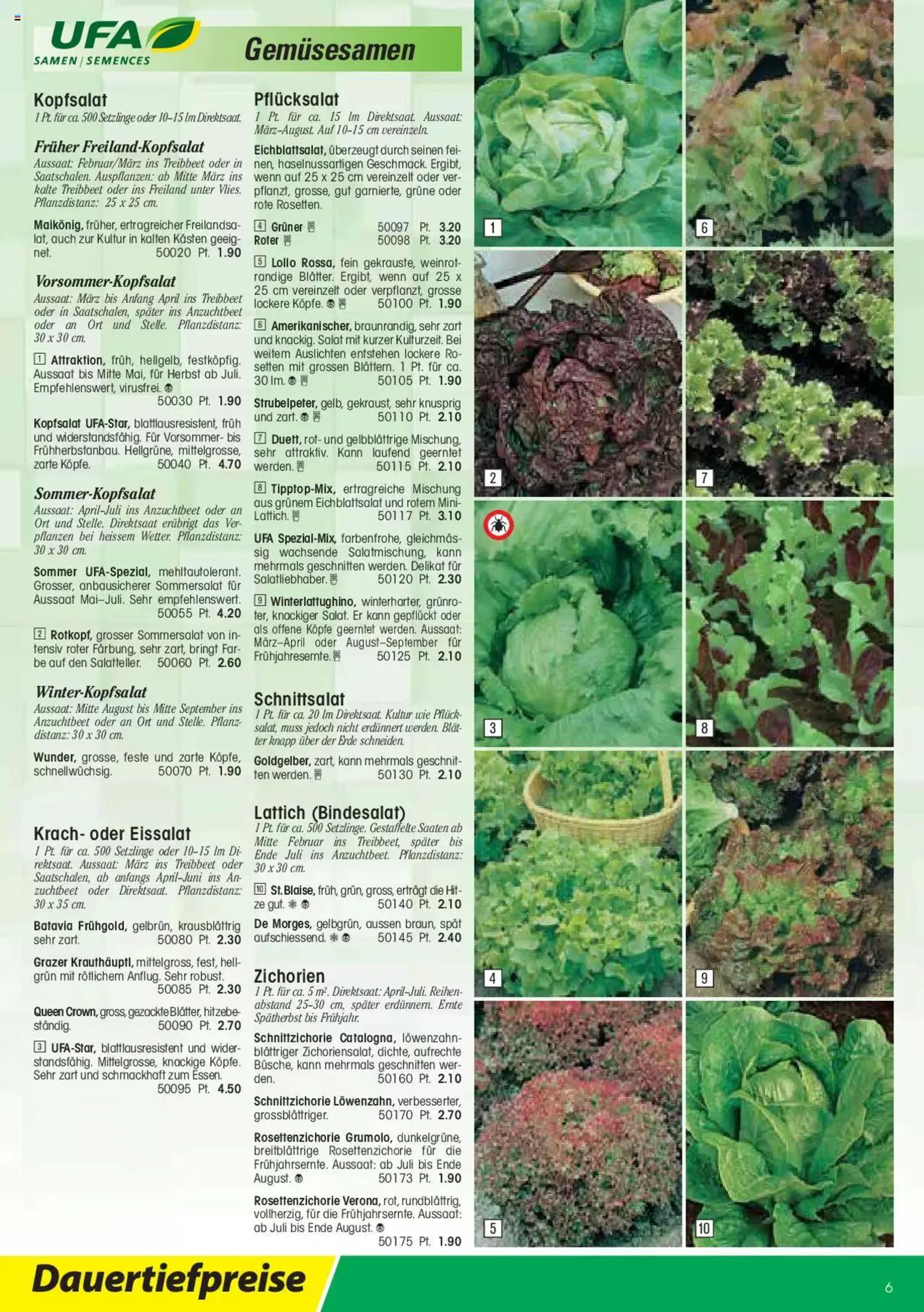 Landi - Gartensamen 2022 von 12. Januar bis 31. Dezember 2023 - Prospekt seite  6