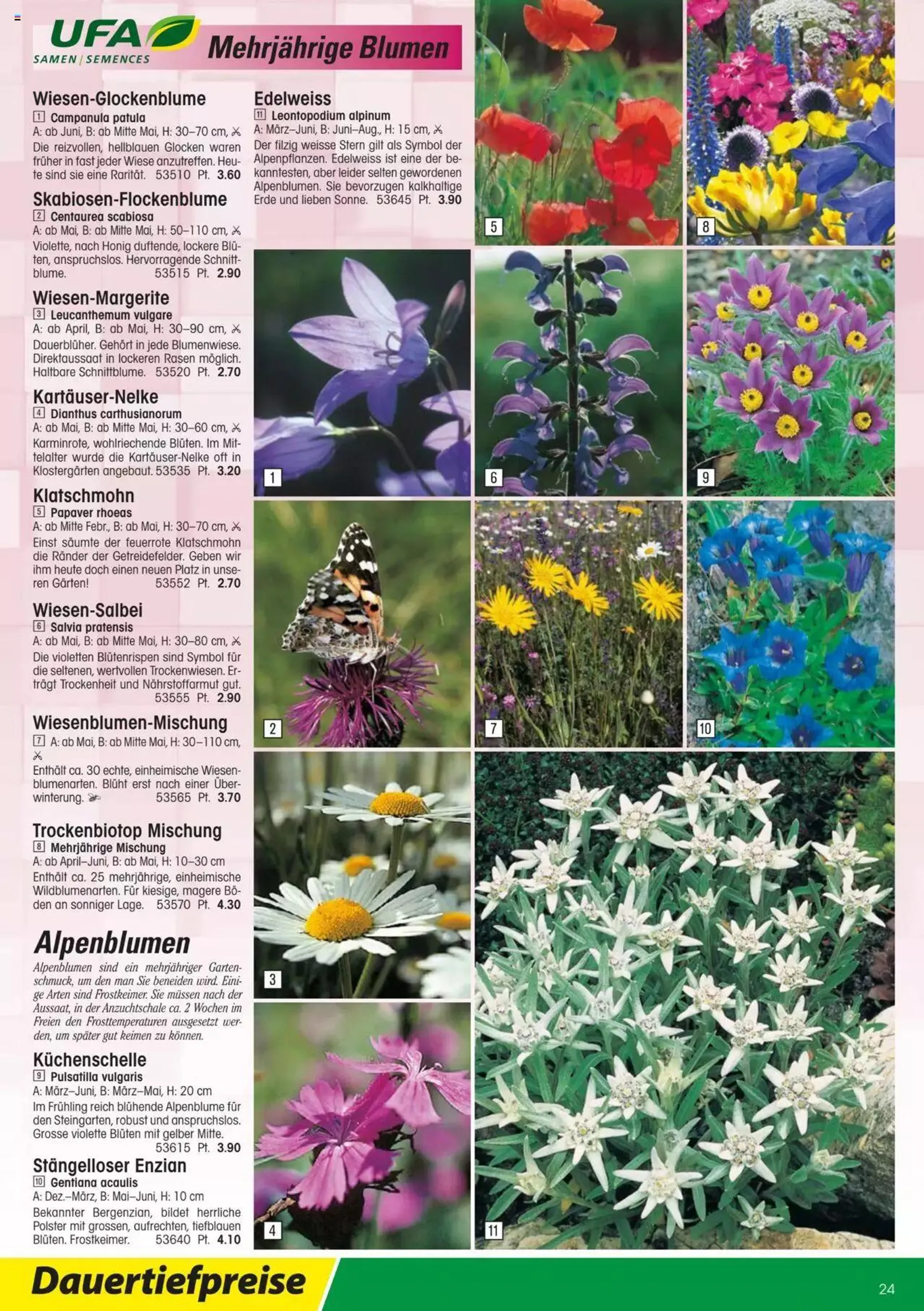 Landi - Gartensamenkatalog 2023 von 10. Januar bis 31. Dezember 2023 - Prospekt seite  24
