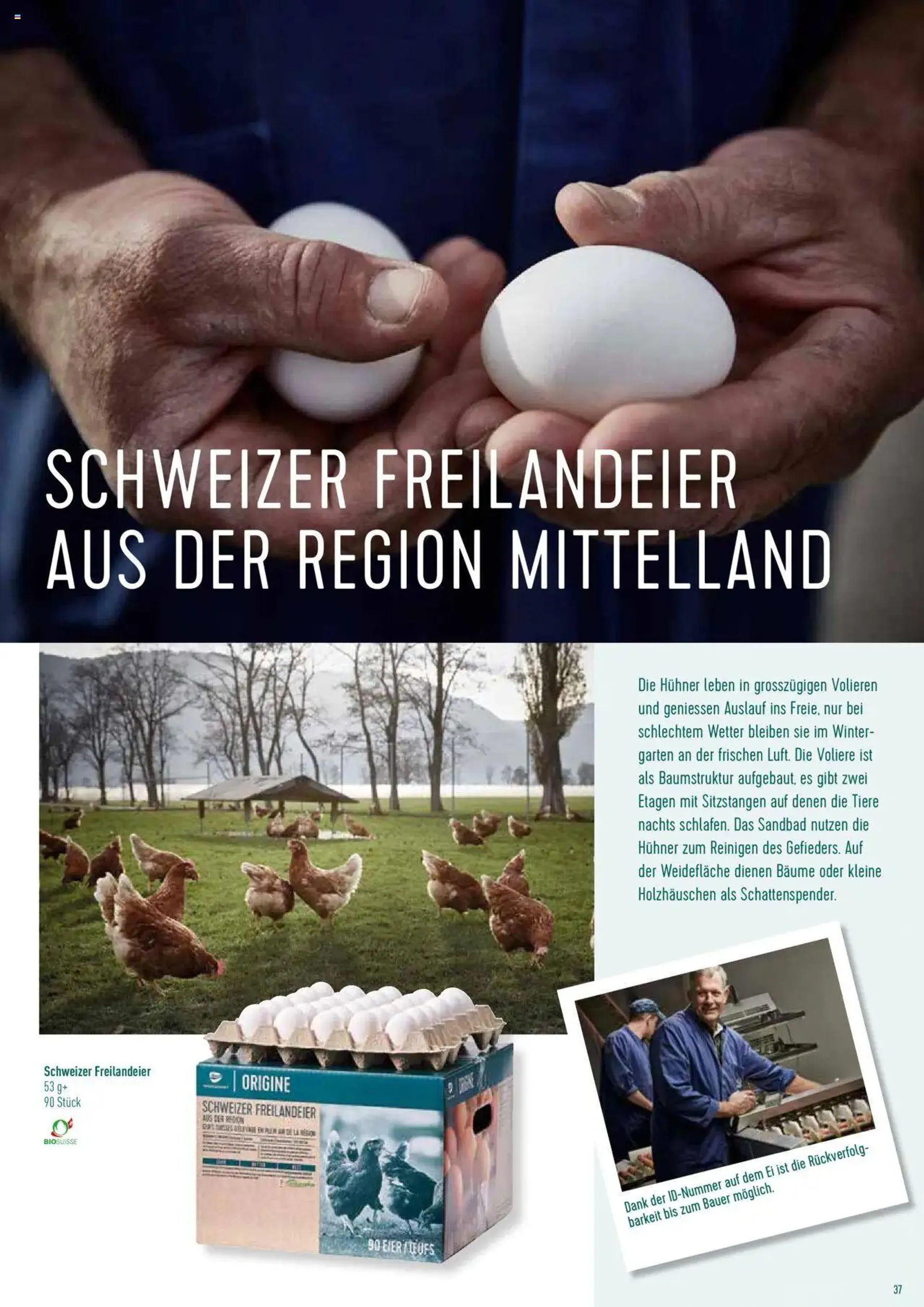 Prodega Aktionen Origine Sortimentsbroschüre von 1. Mai bis 31. Dezember 2024 - Prospekt seite  37