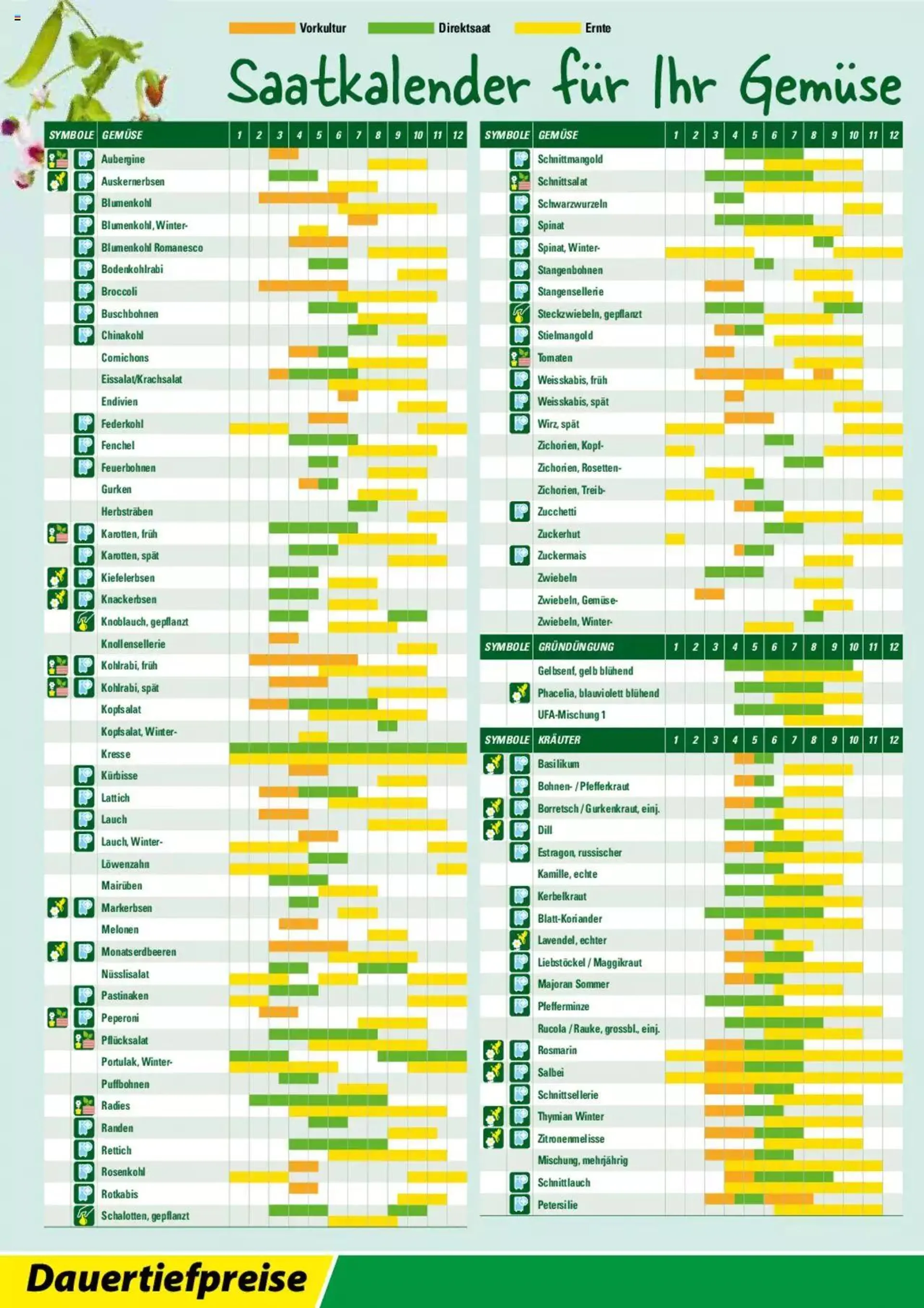 Landi Aktionen Gartensamenkatalog 2024 von 1. Januar bis 31. Dezember 2024 - Prospekt seite  16