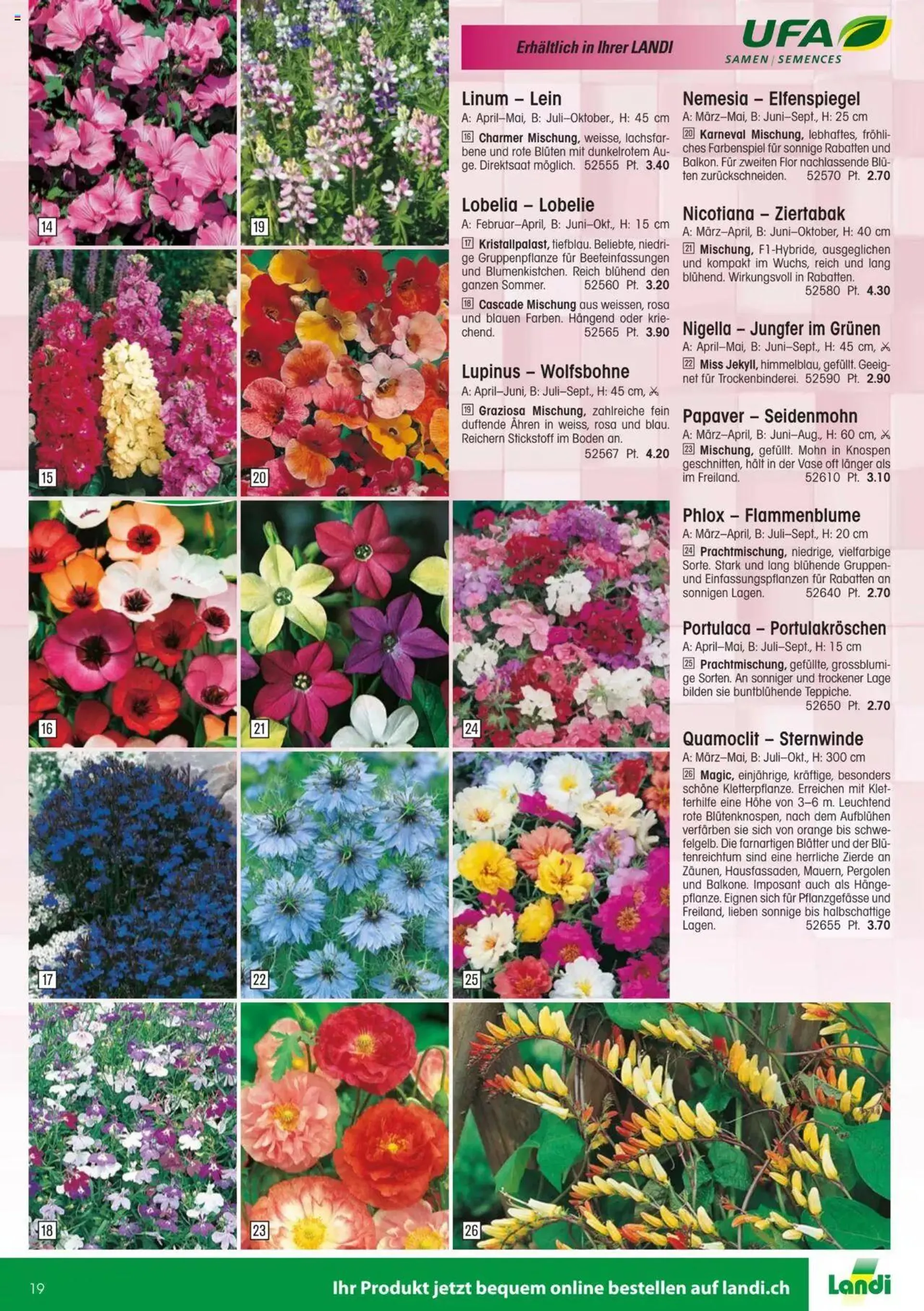 Landi - Gartensamenkatalog 2023 von 10. Januar bis 31. Dezember 2023 - Prospekt seite  19