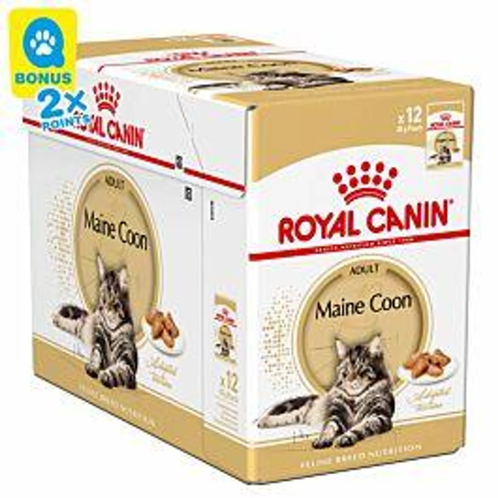 Royal Canin Katze Mainecoon 12x85g