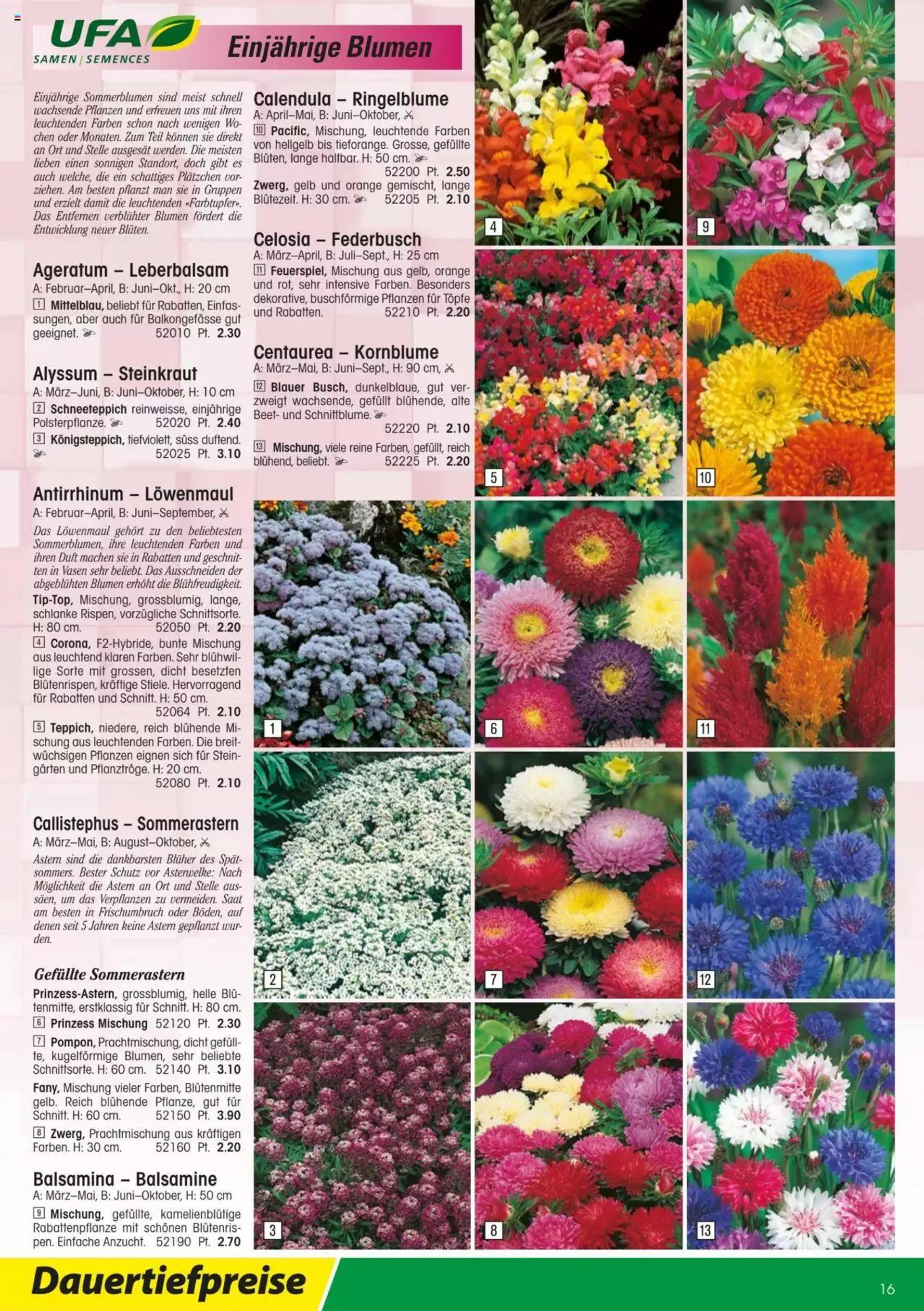 Landi - Gartensamenkatalog 2023 von 10. Januar bis 31. Dezember 2023 - Prospekt seite  16