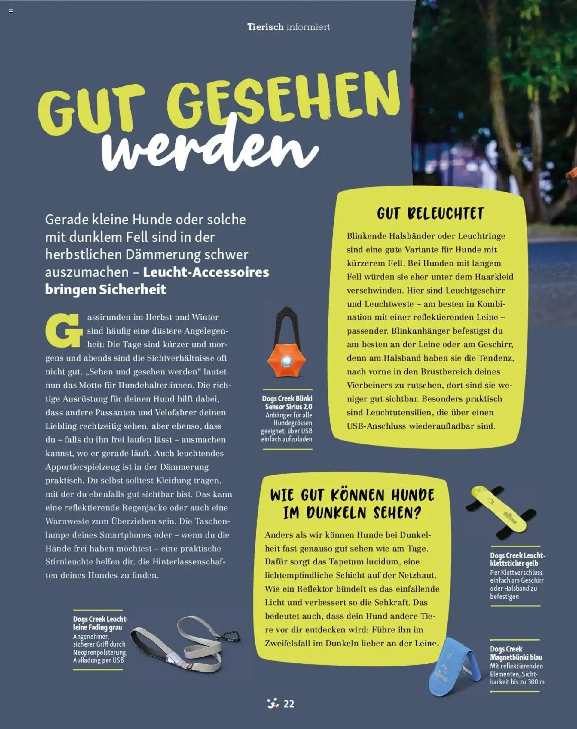 Fressnapf Magazin von 1. September bis 31. Oktober 2024 - Prospekt seite  22