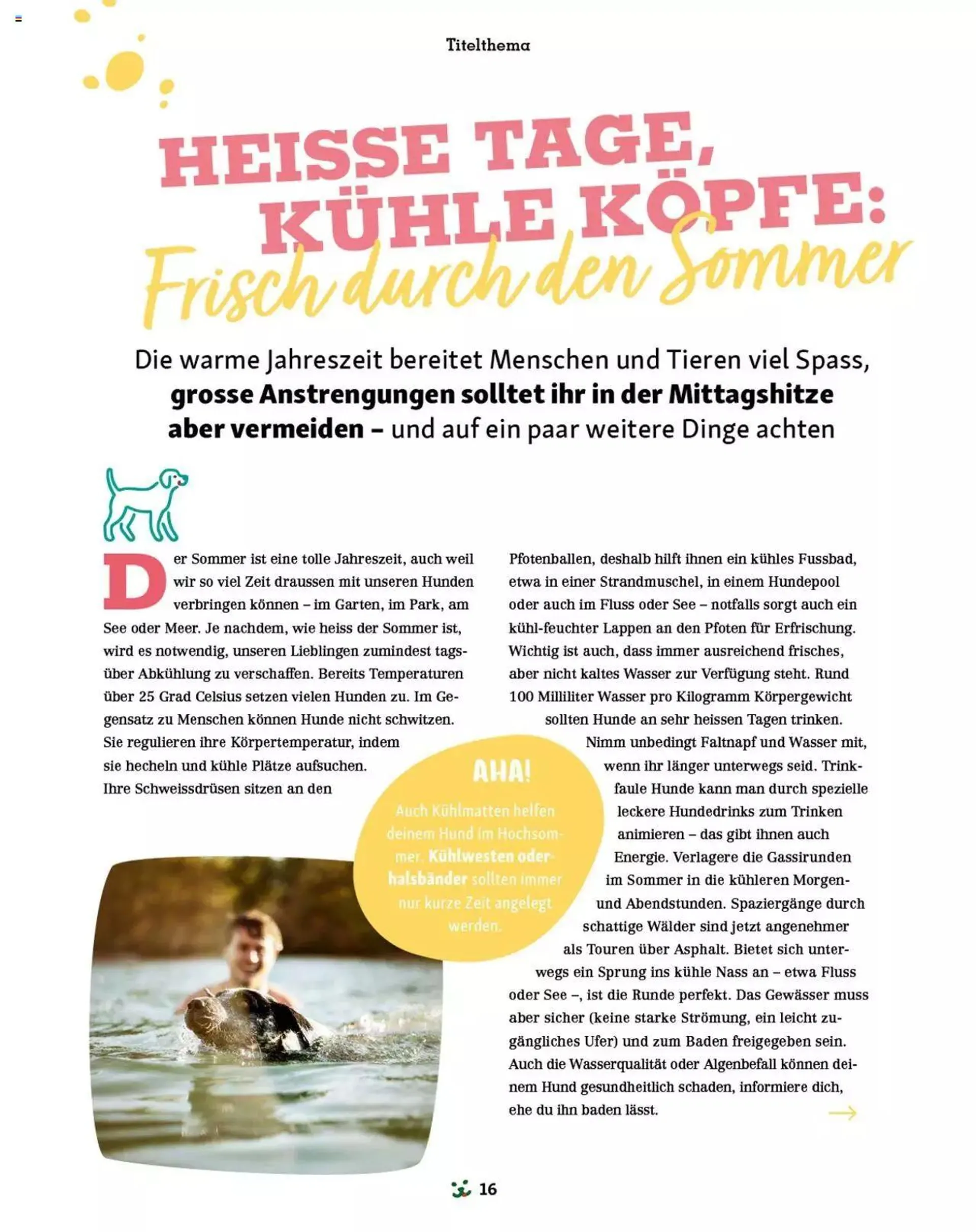 Fressnapf Magazin - 15