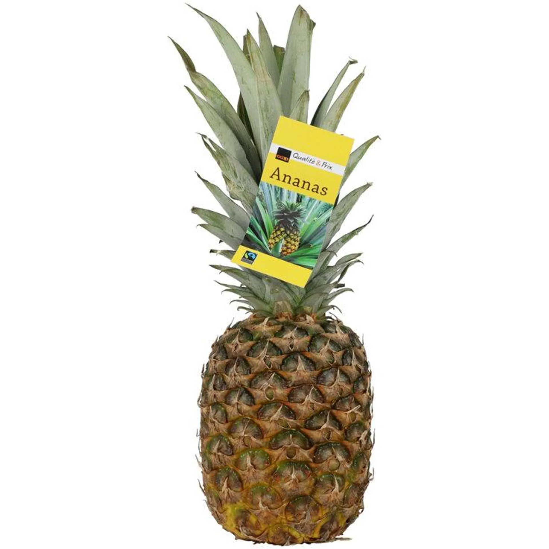 Fairtrade Ananas extrasüss 1 Stück