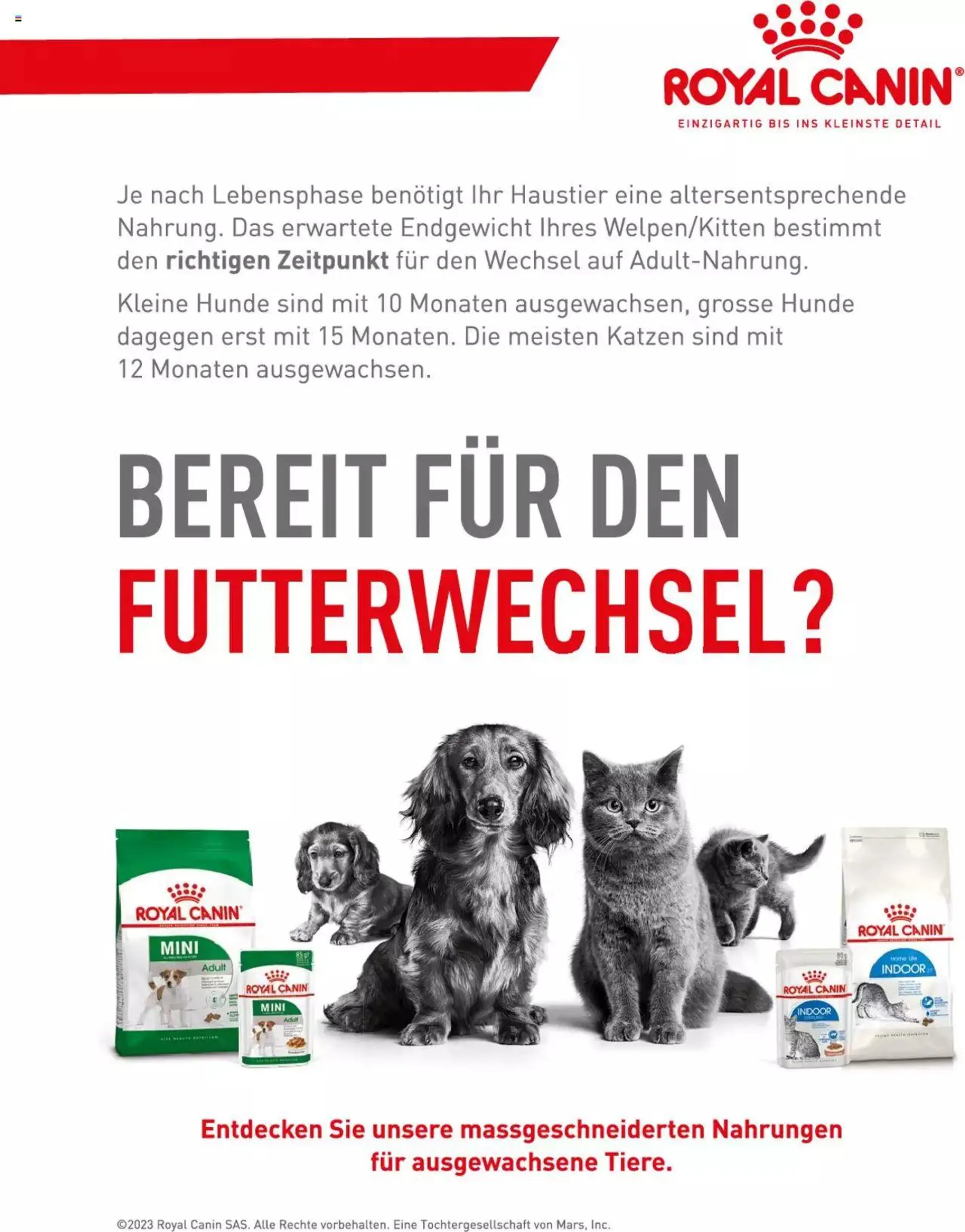 Fressnapf Magazin von 1. September bis 31. Oktober 2023 - Prospekt seite  2