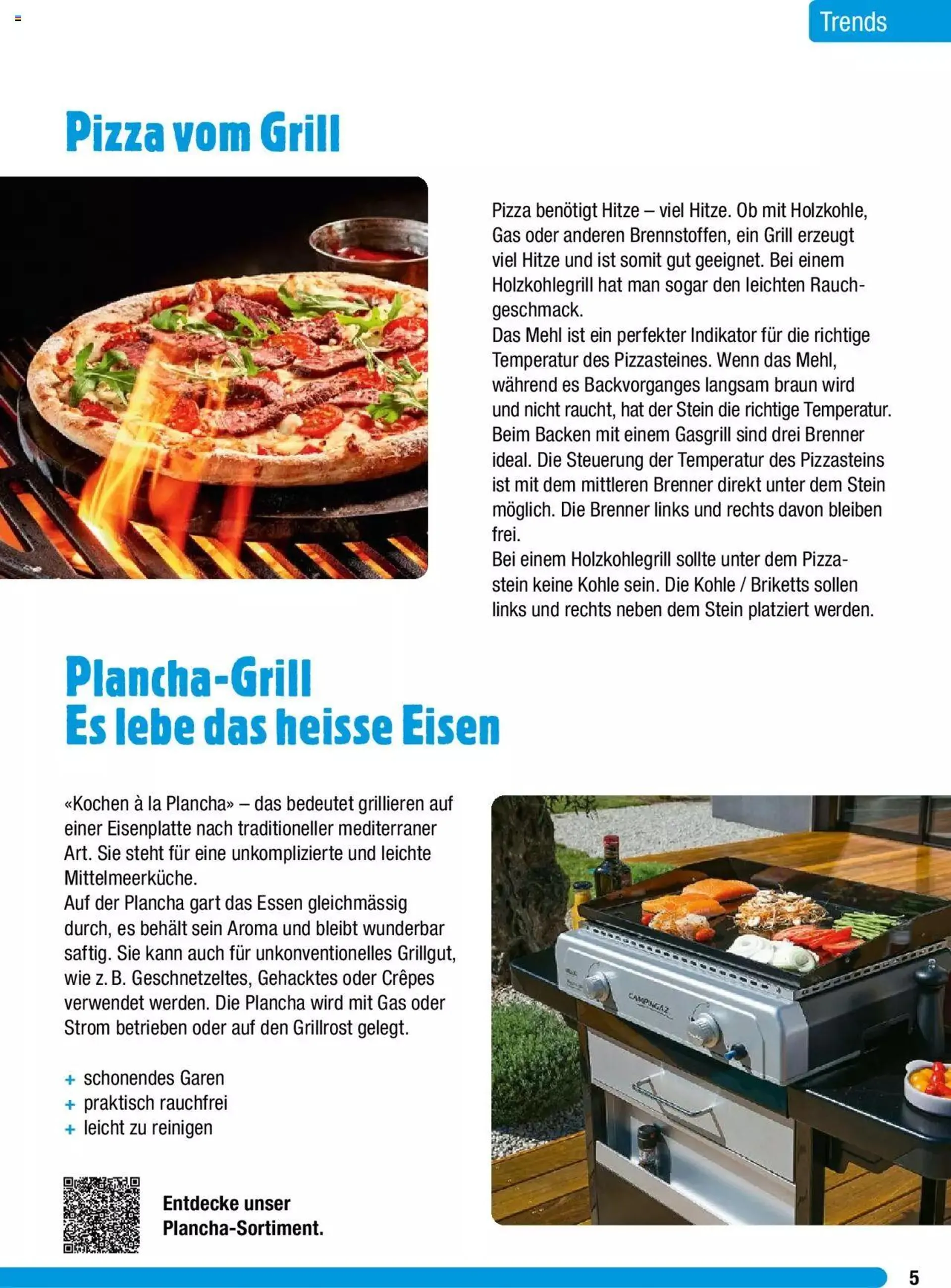 Jumbo Grosse Grillbroschure 2023 von 27. Februar bis 31. Dezember 2023 - Prospekt seite  5