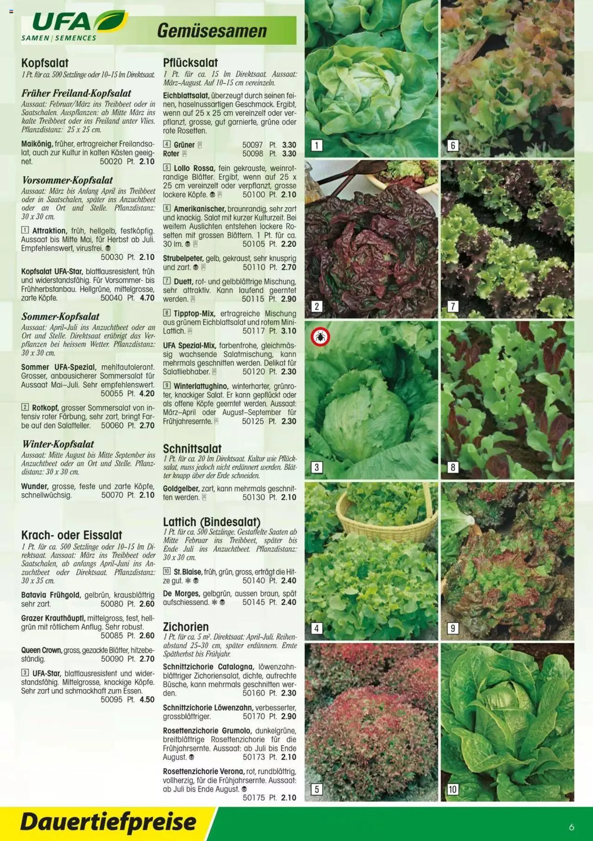 Landi - Gartensamenkatalog 2023 von 10. Januar bis 31. Dezember 2023 - Prospekt seite  6
