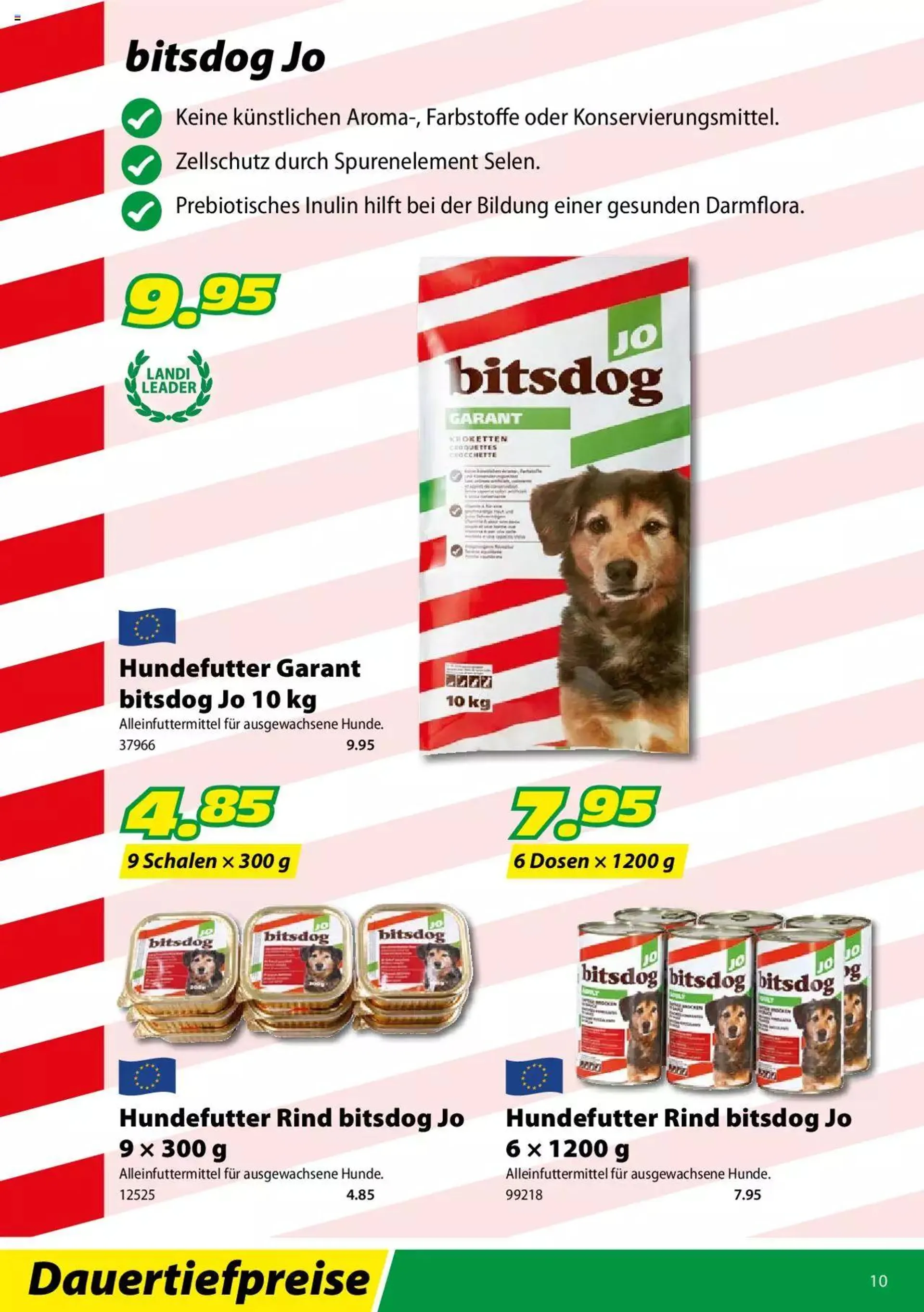 Landi - Bitsdog 2022 von 12. Januar bis 31. Dezember 2023 - Prospekt seite  10