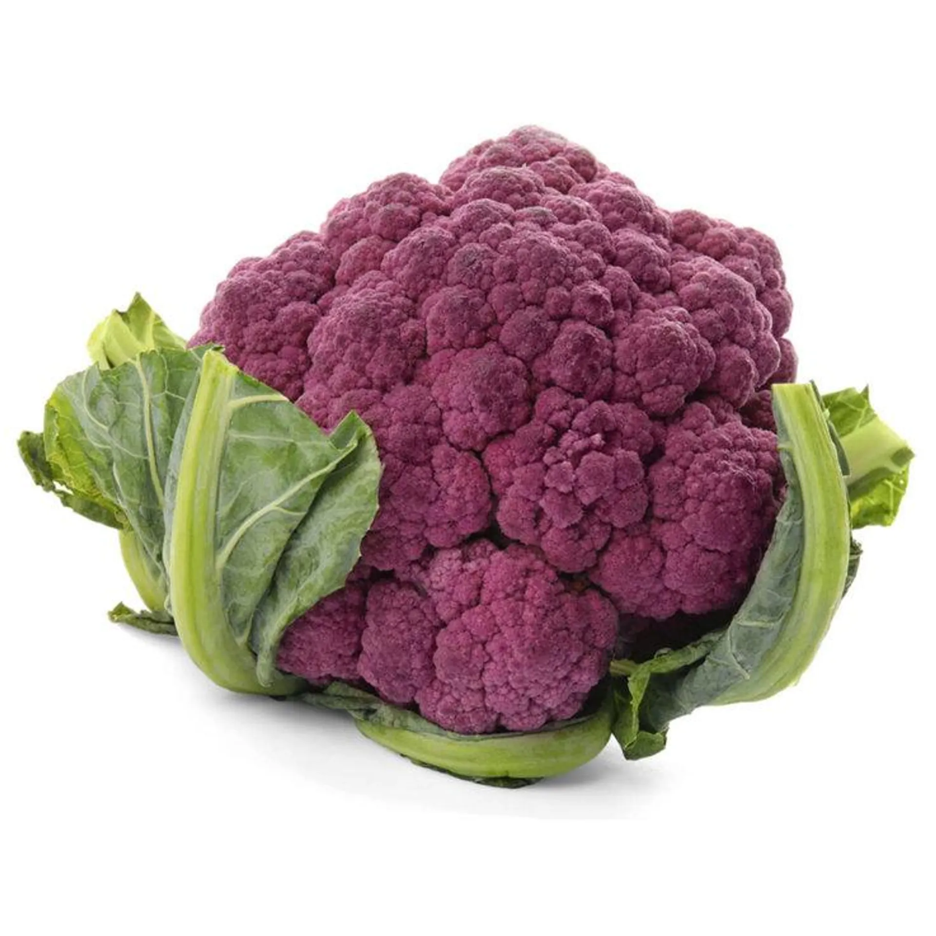 Bio Broccoli violett ca. 450g