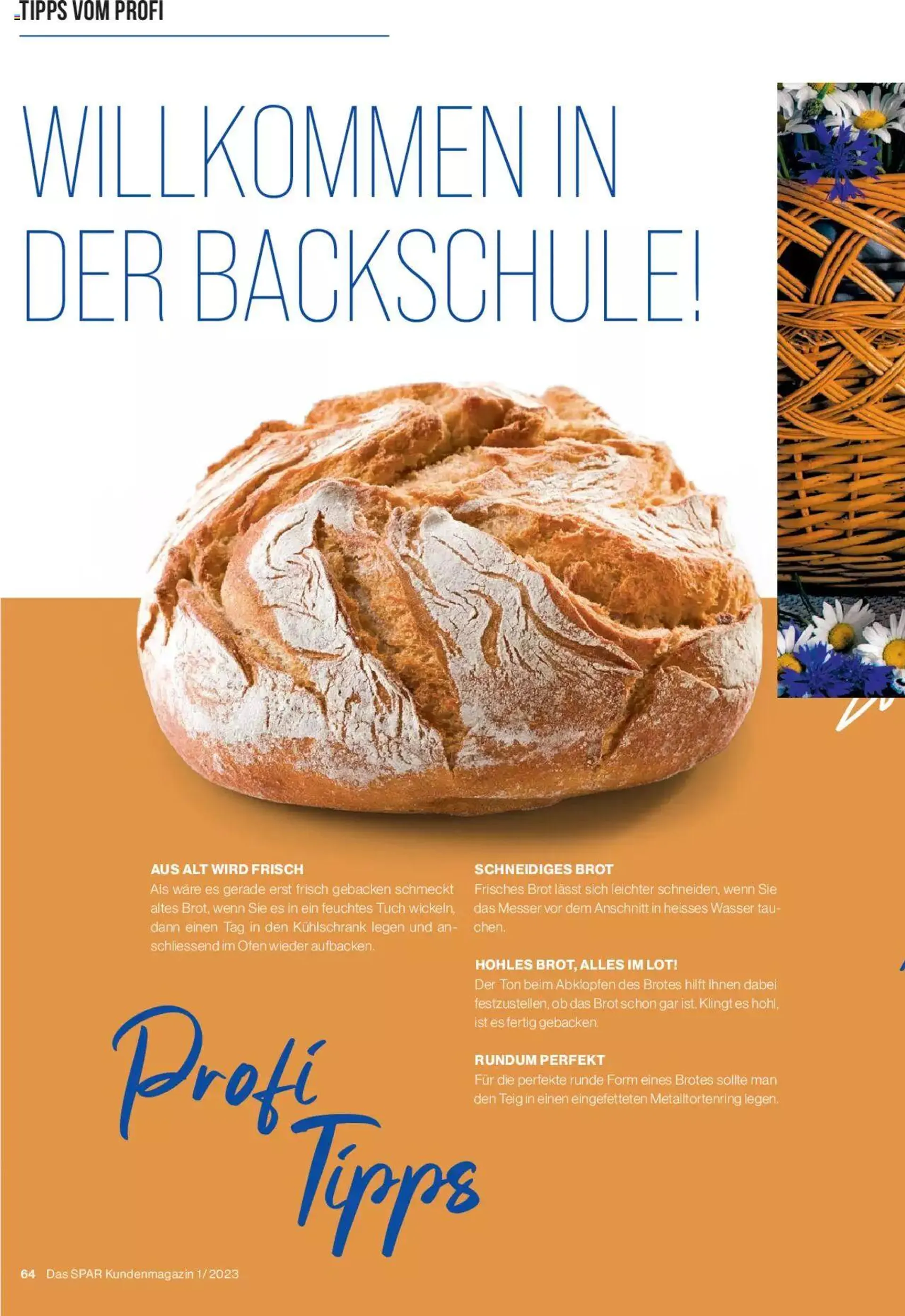 SPAR Kundenmagazin von 2. März bis 31. Dezember 2023 - Prospekt seite  64