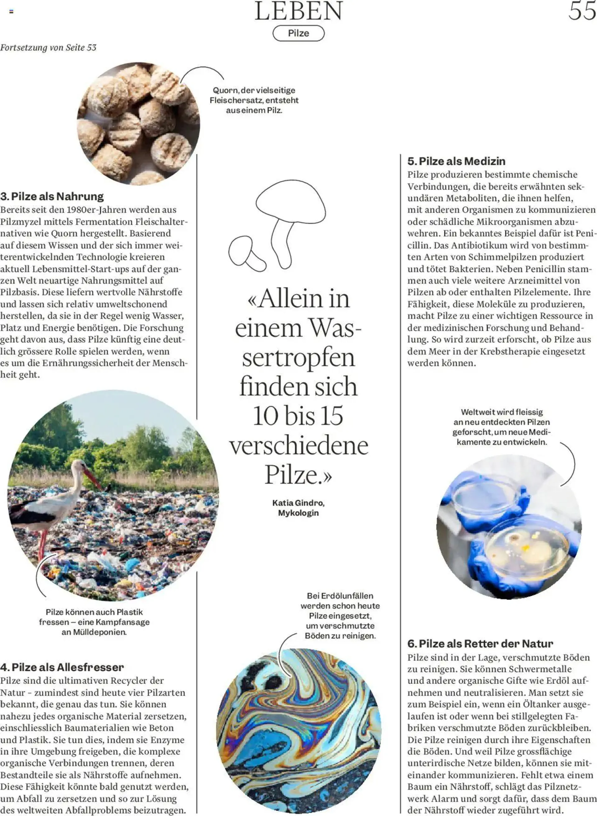 Migros - Magazin von 14. Oktober bis 20. Oktober 2024 - Prospekt seite  55