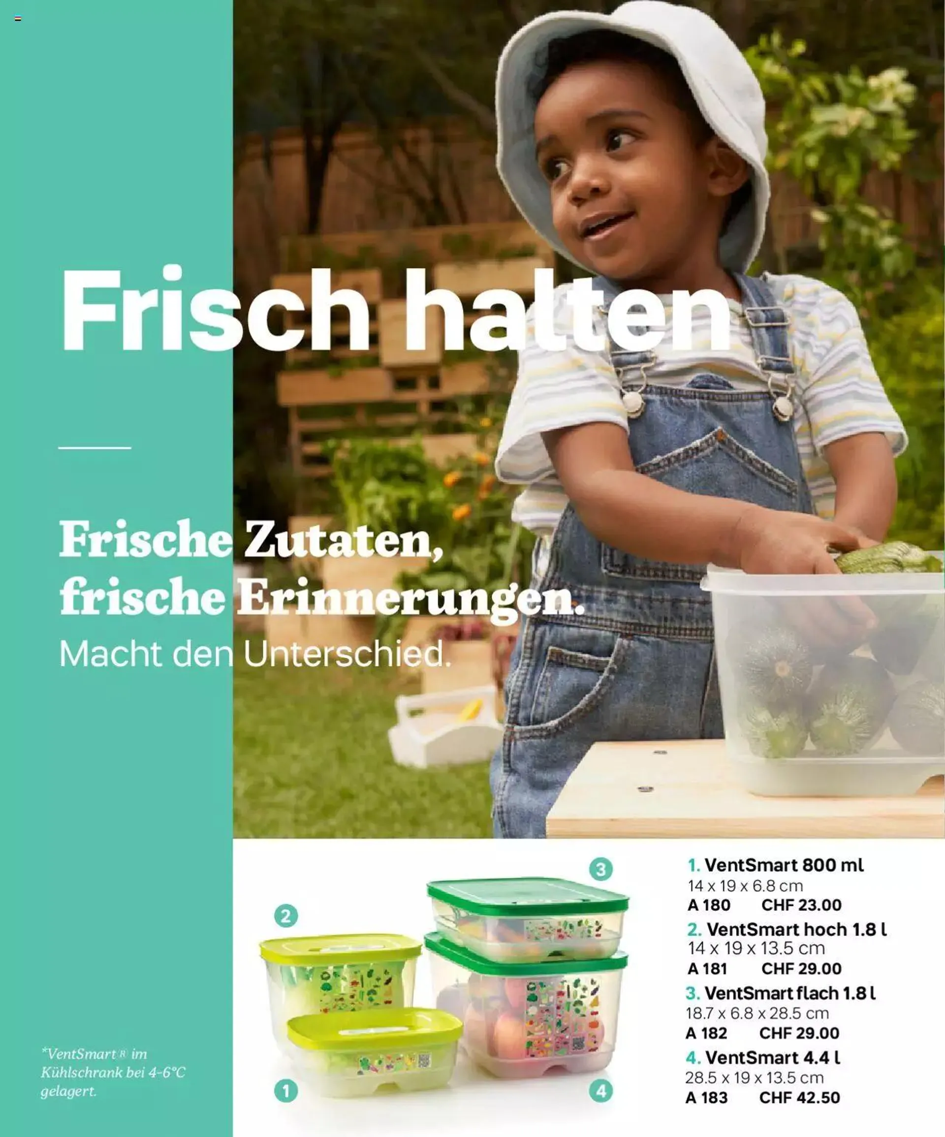 Tupperware Frühling & Sommer 2023 von 8. März bis 31. Dezember 2023 - Prospekt seite  36
