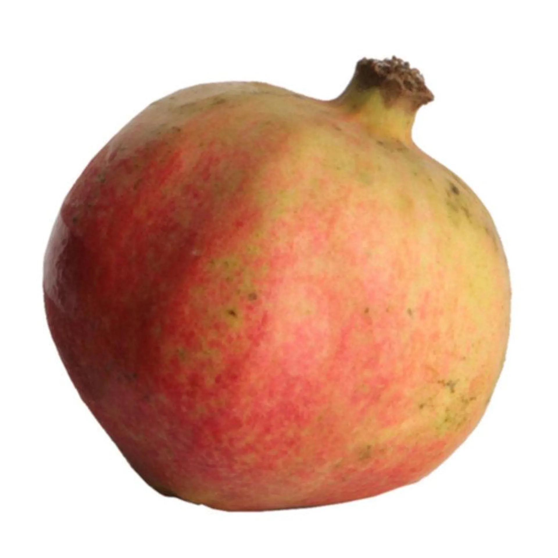 Granatapfel 1 Stück