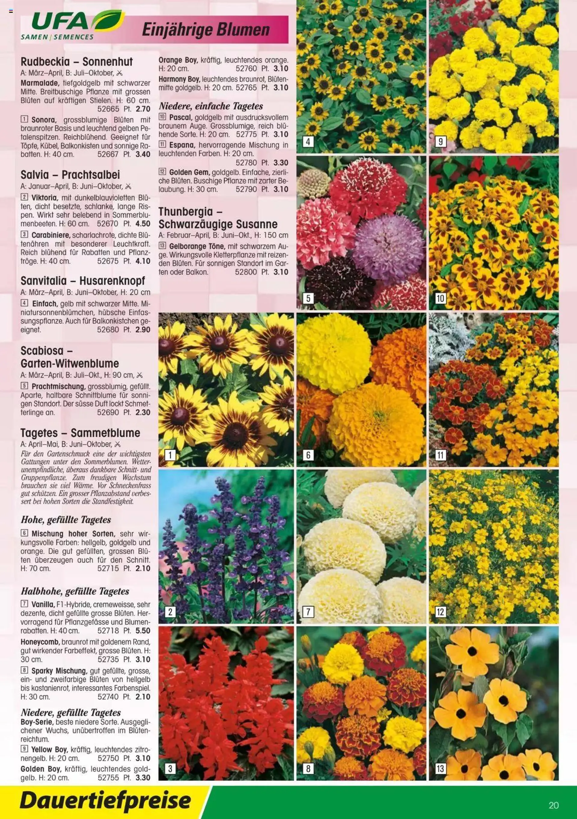 Landi - Gartensamenkatalog 2023 von 10. Januar bis 31. Dezember 2023 - Prospekt seite  20