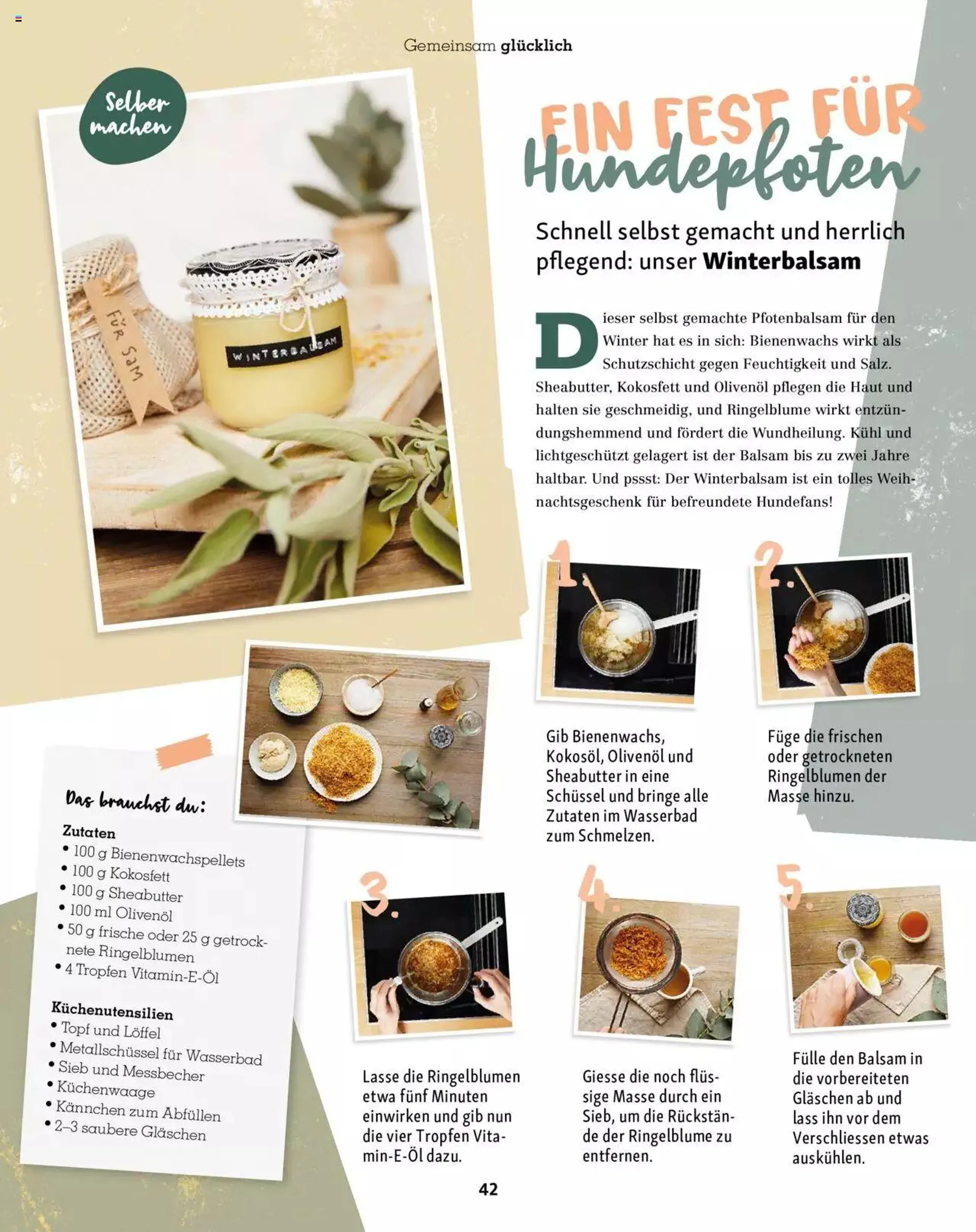 Fressnapf Magazin von 1. November bis 31. Dezember 2023 - Prospekt seite  42