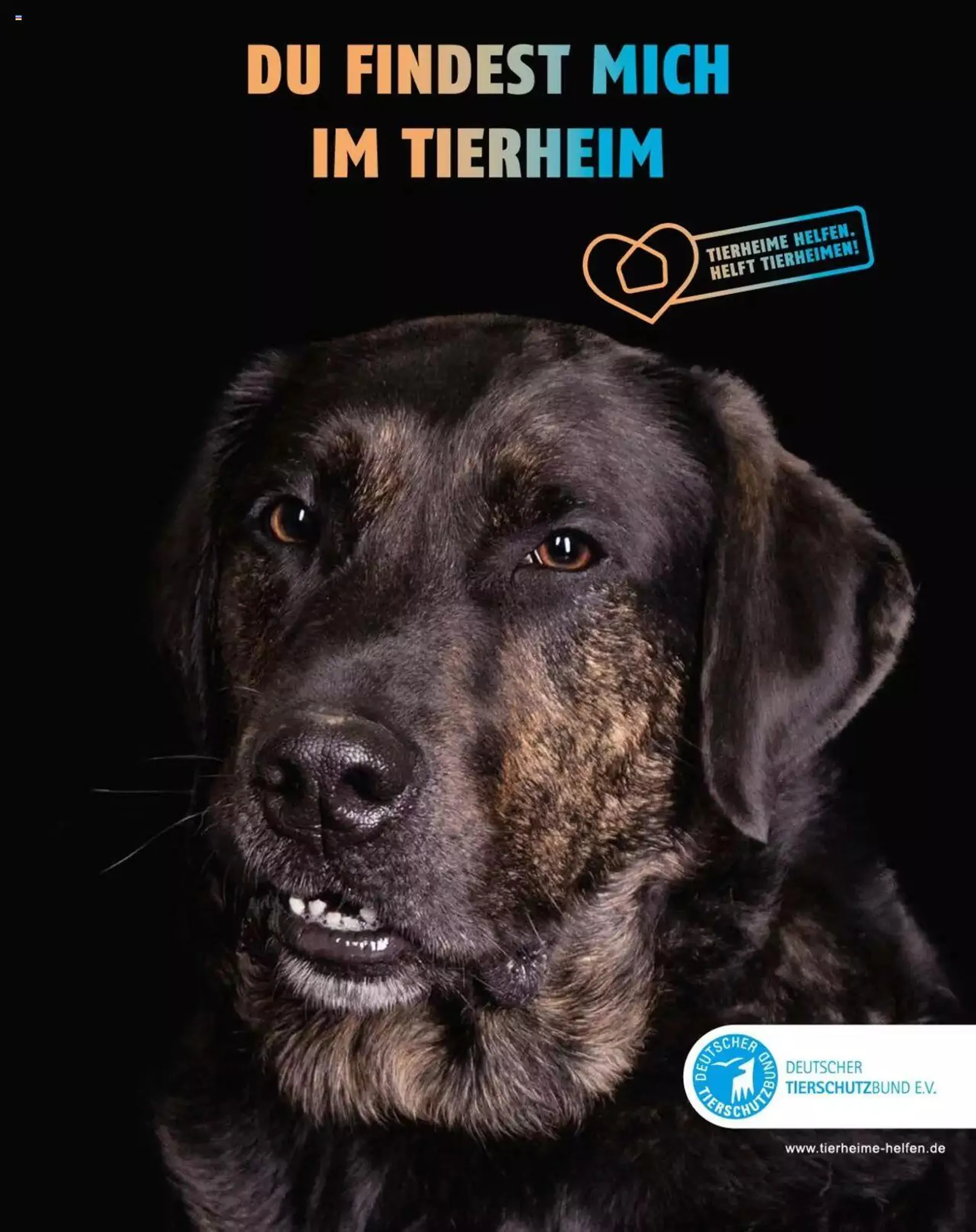 Fressnapf Magazin von 1. Mai bis 31. Dezember 2023 - Prospekt seite  51